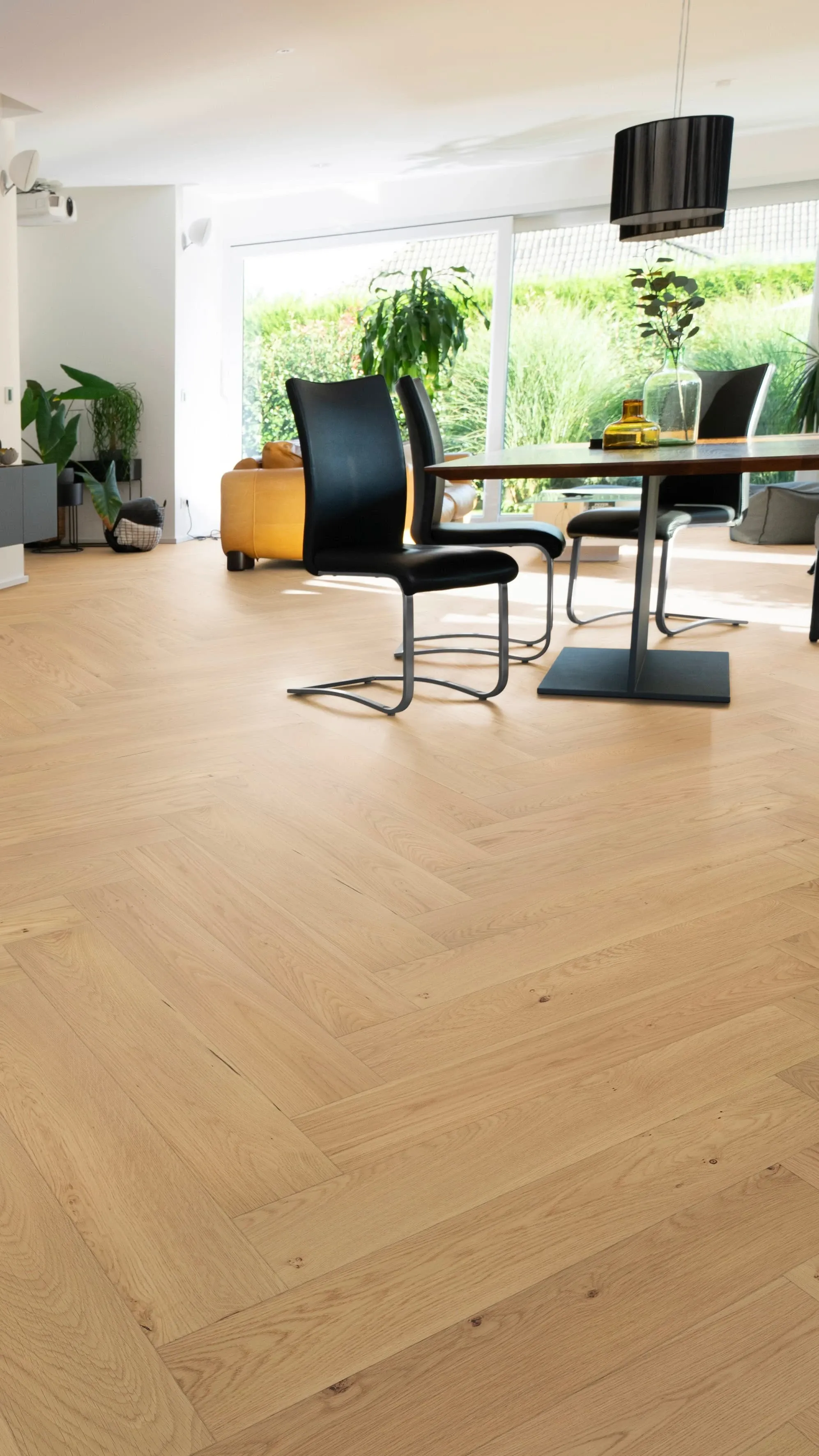 Sola Amber - FPHB0183-BÄR - 2