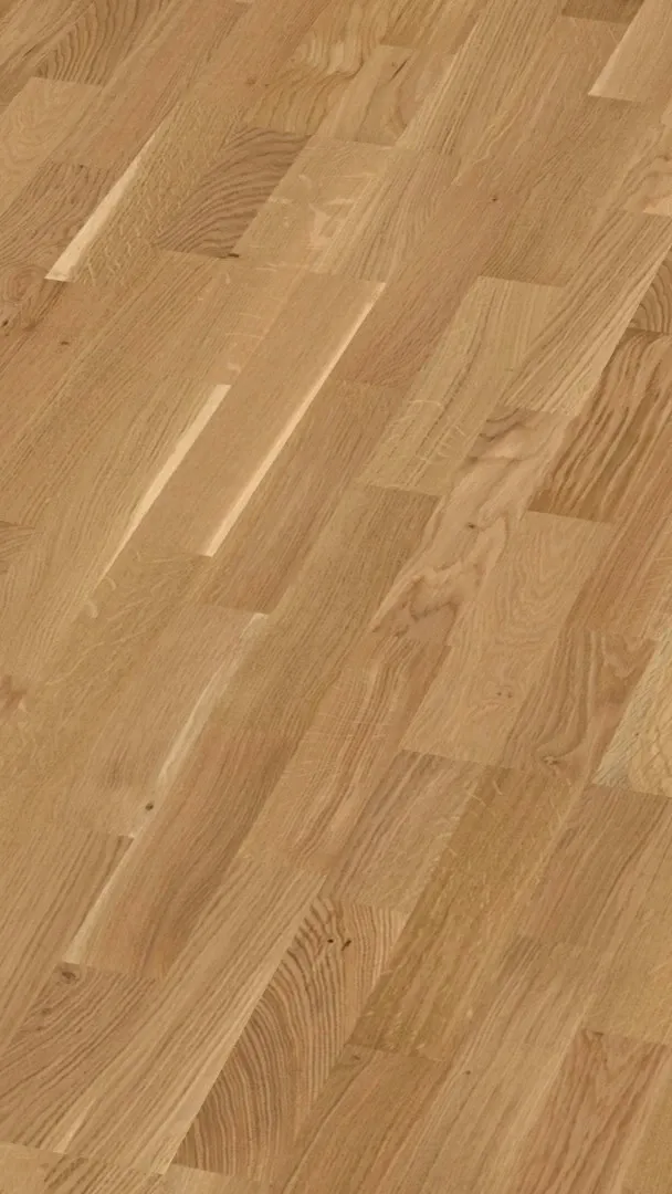 Ravin Sun - FPSH0010-BON - 4