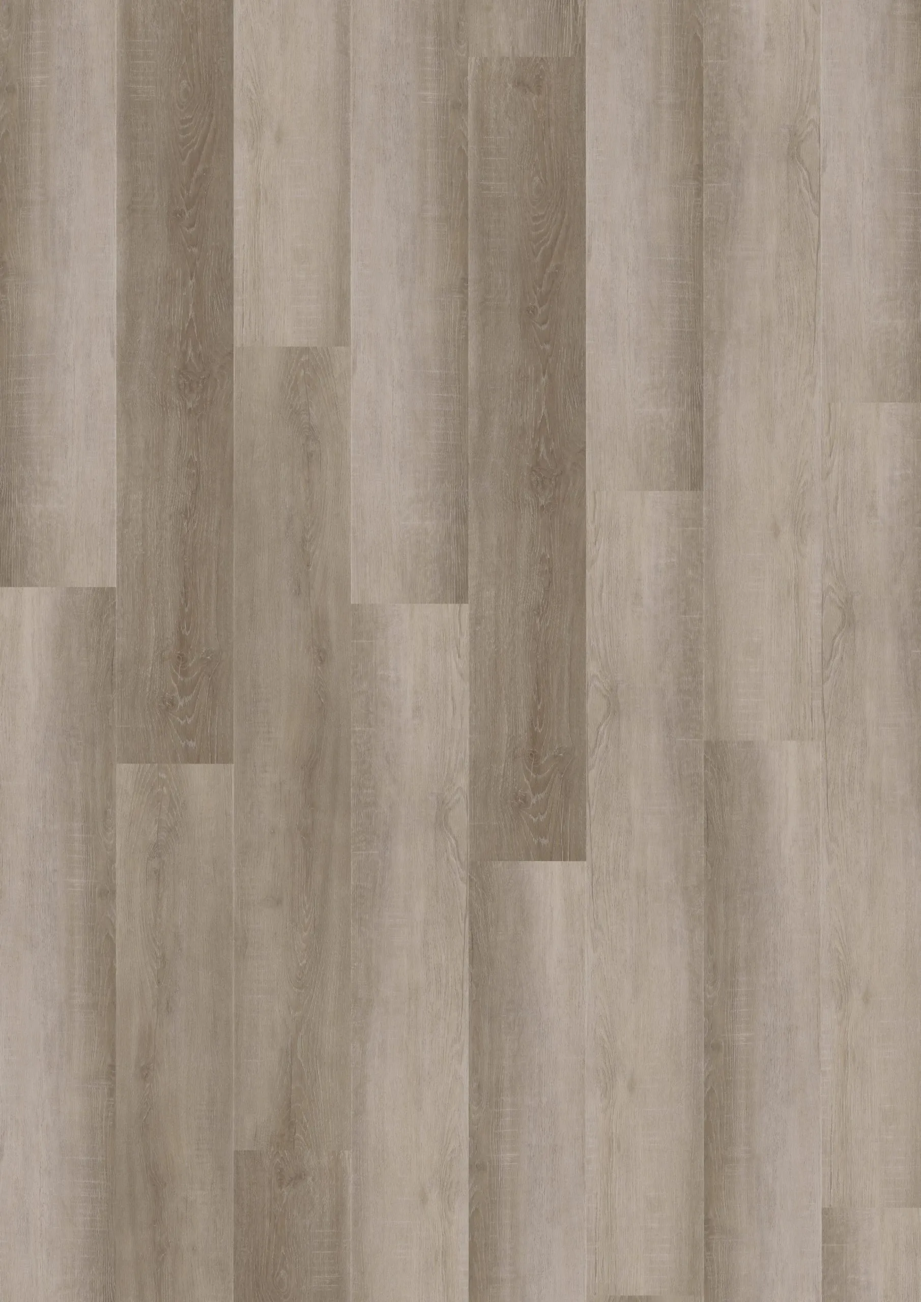 Corin Dawn - DVLHDL0800-ONF - 1