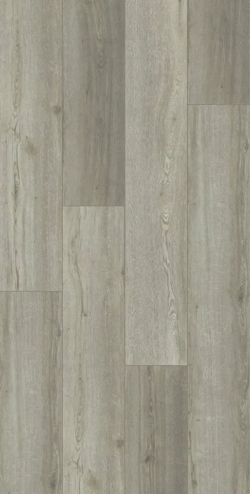 Sarko Cliff - DVLHDC0678-LHM - 2