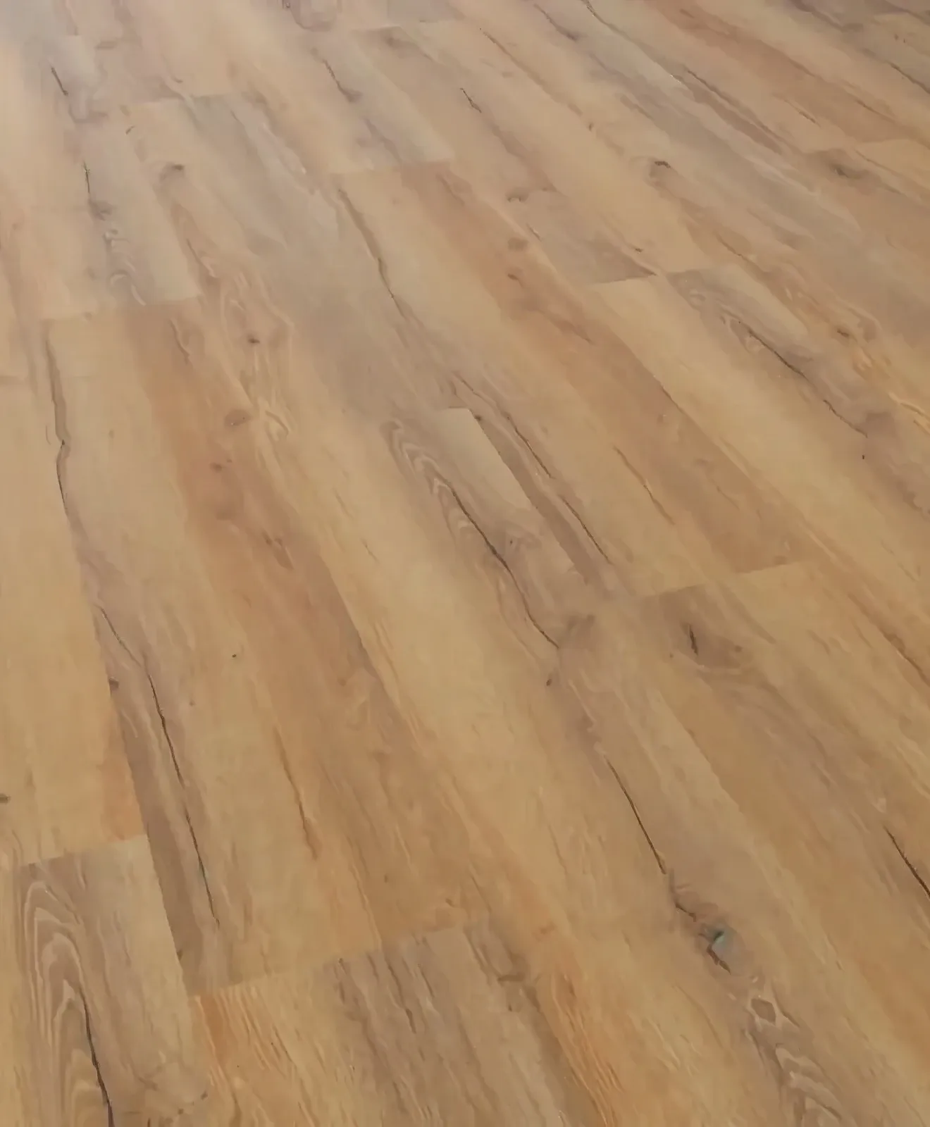 Ravel Honey - DVLHDC0708-LHM - 2