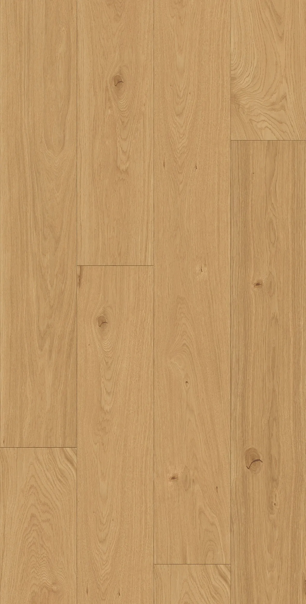 Arvon Gold - FPLHD0221-LHM - 1