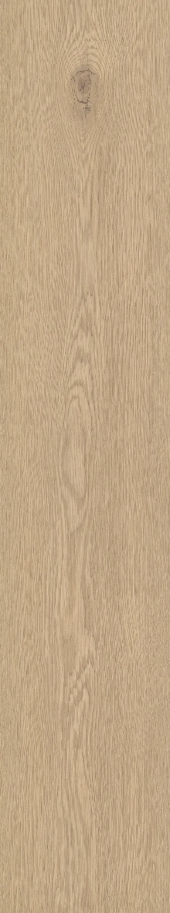 Vireo Soft - DVLHDL0007-BCO - 6