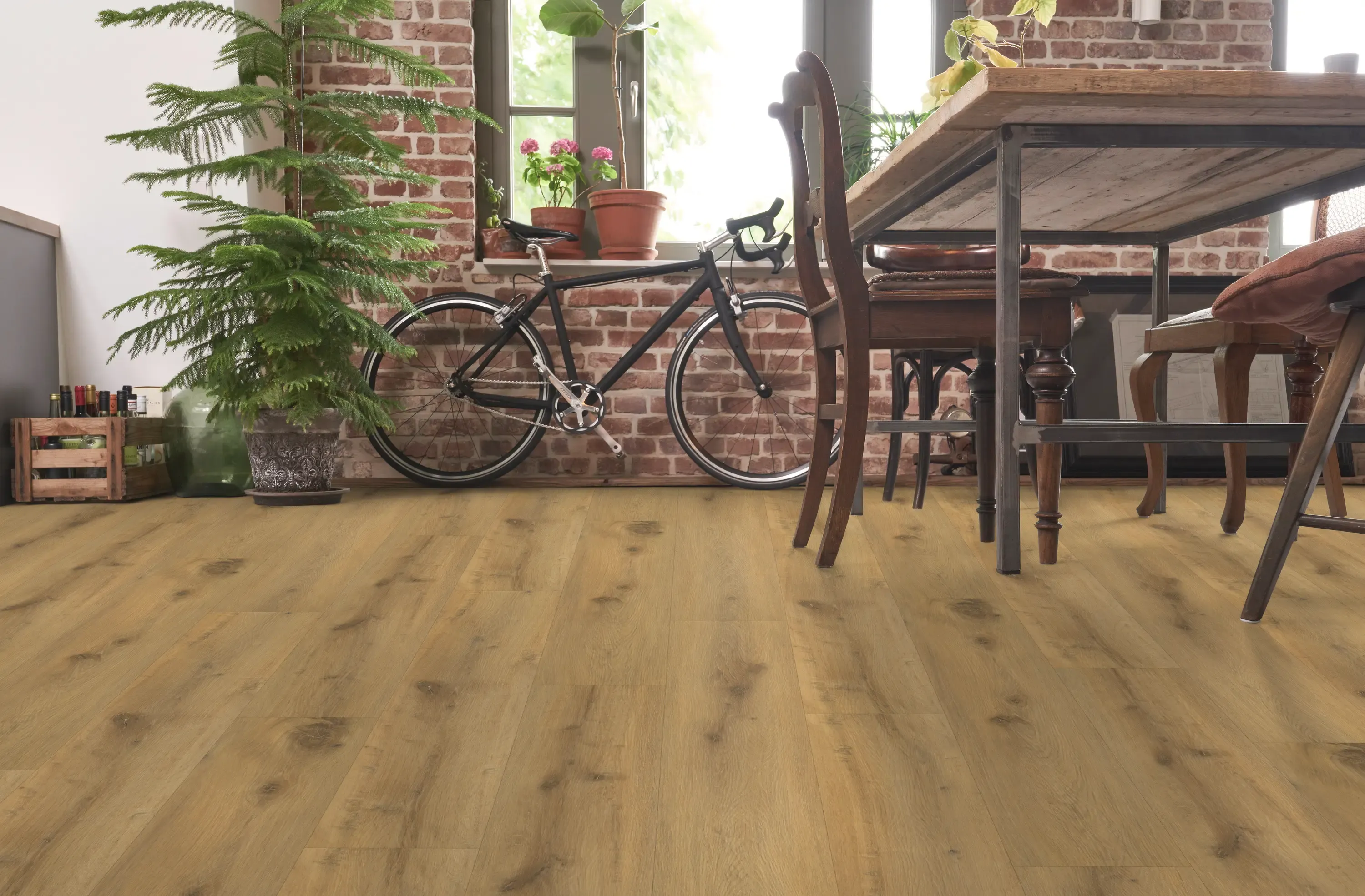 Enzo-glow-DVLHDL0012-BCO-1