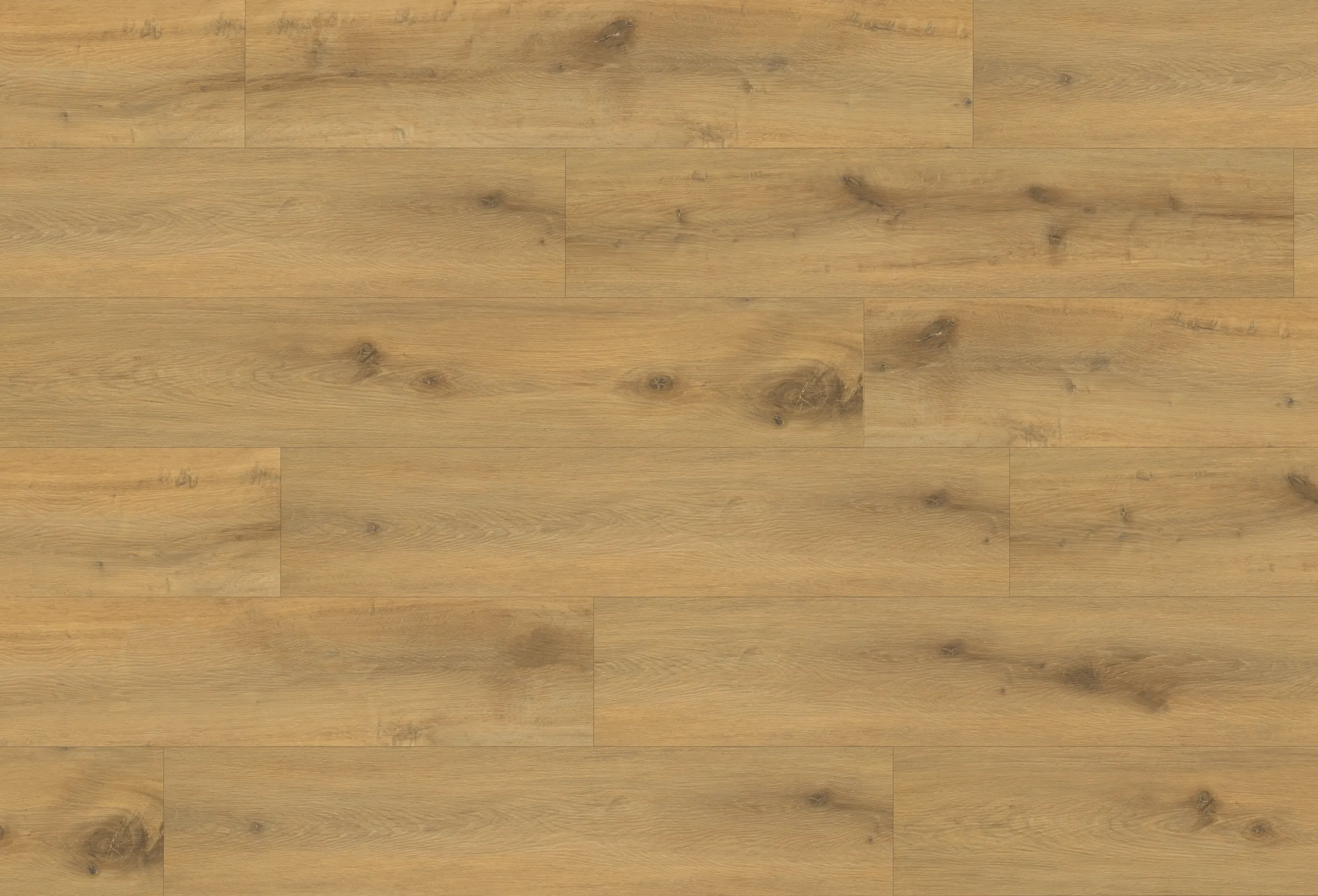 Enzo-glow-DVLHDL0012-BCO-3