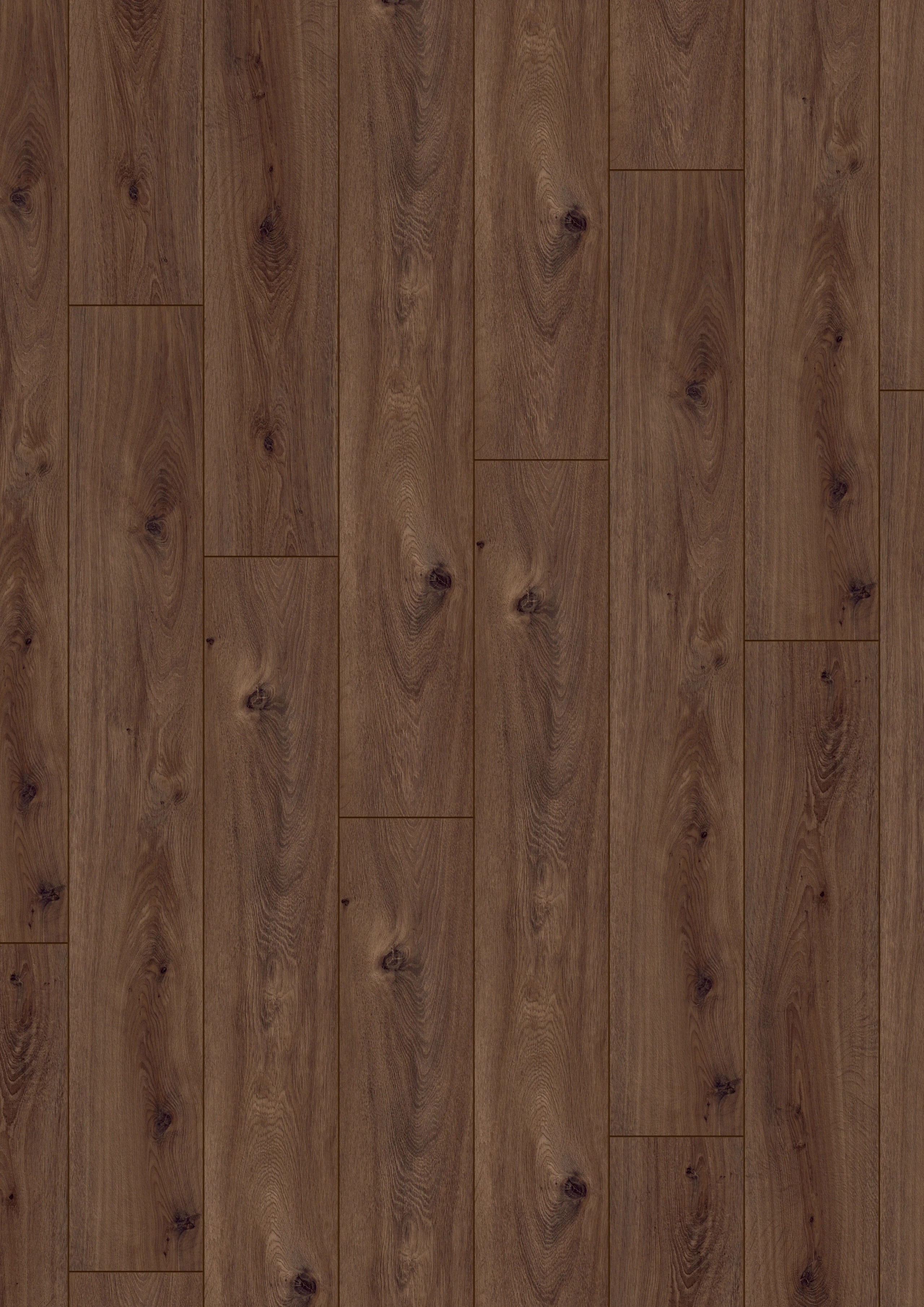 Dark Forest Floor - LA-LHD0104-KRO - 5