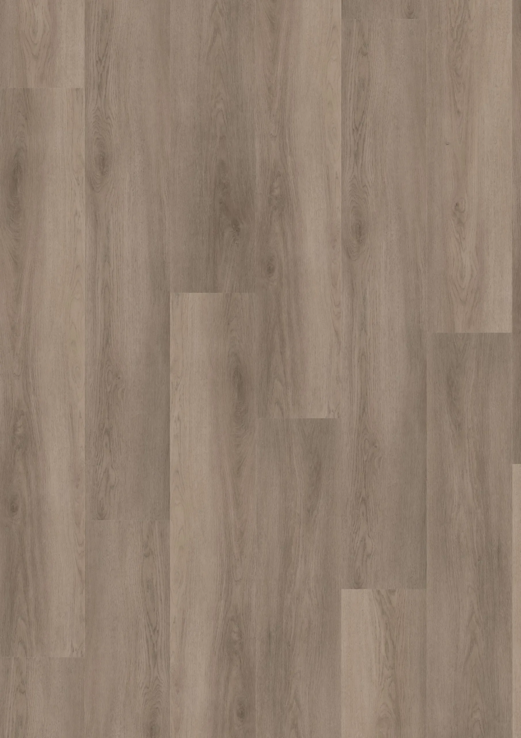 Avero Gold - DVLHDL0757-ONF - 1