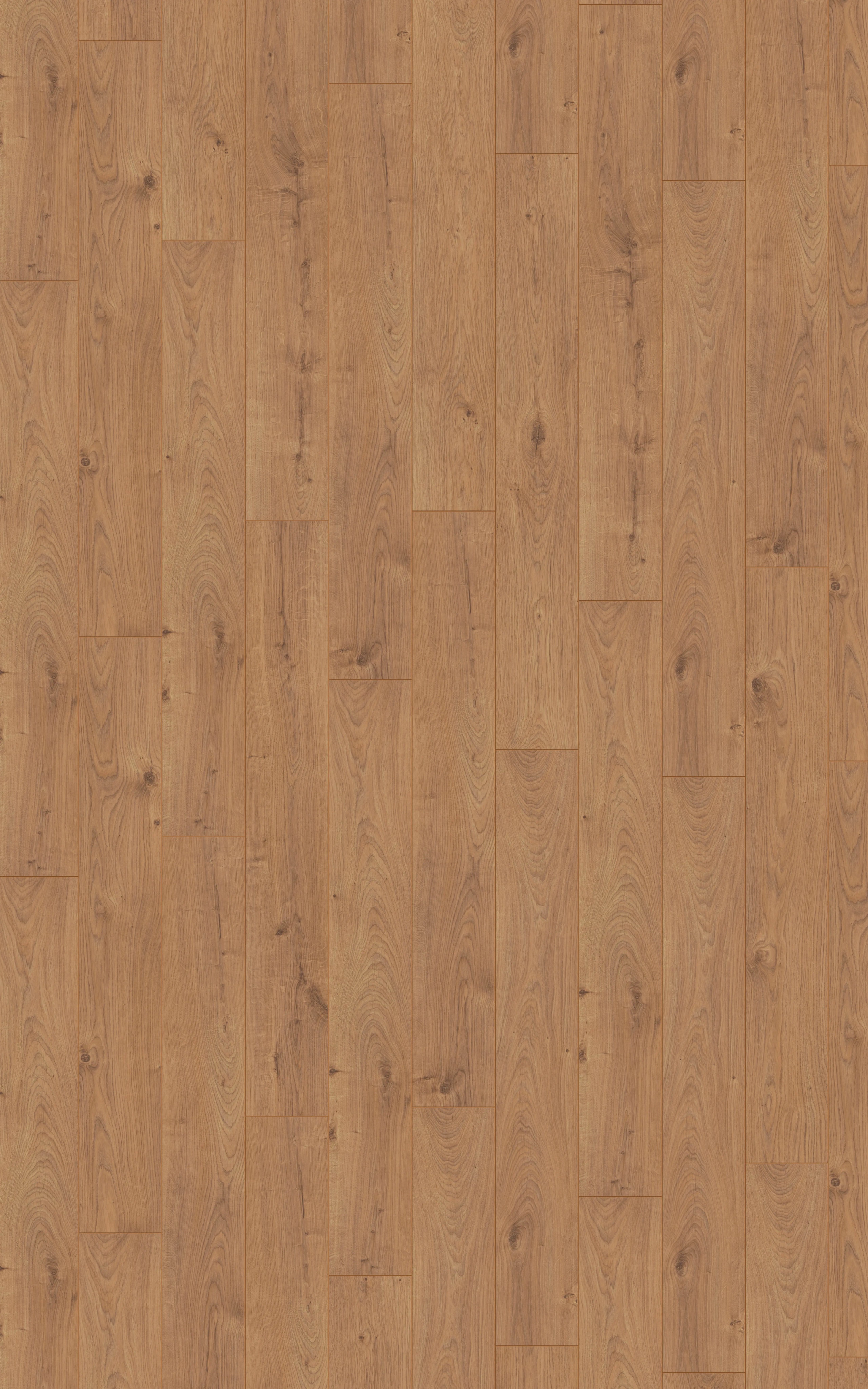 Gold Coast Oak - LA-LHD0095-KRO - 5