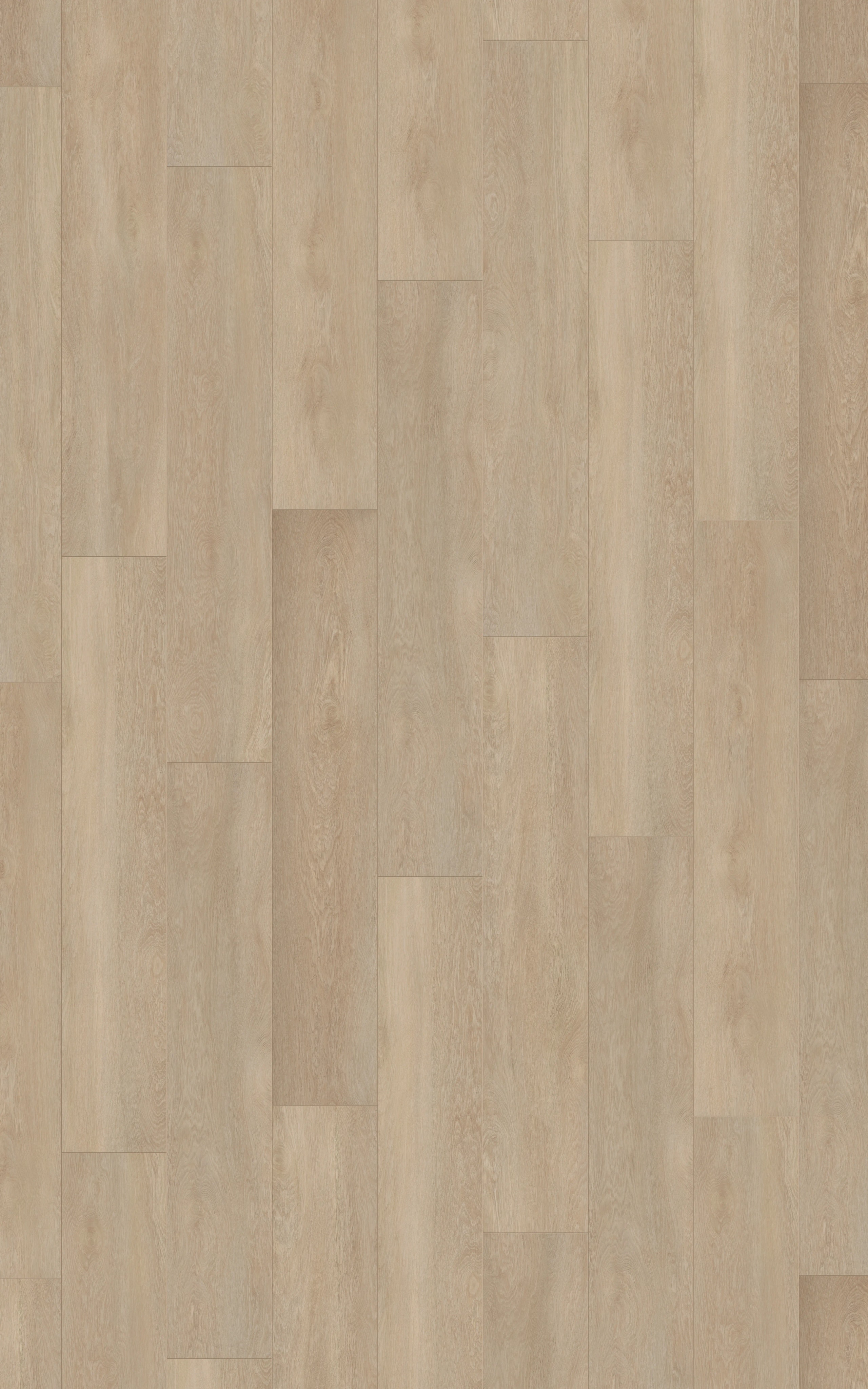 Costa Nova Oak - LA-LHD0472-KRO - 5