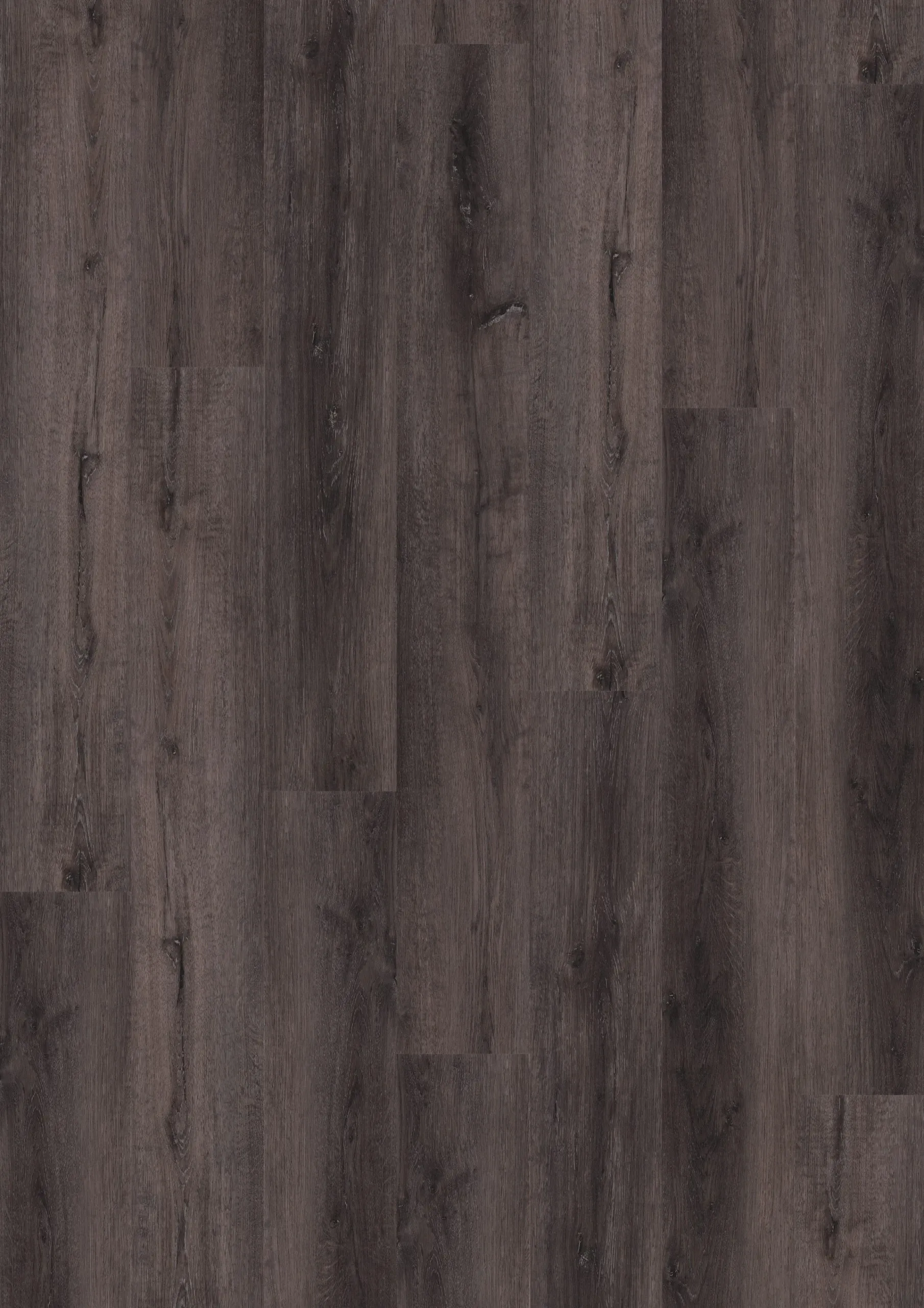 Brenton Dark - DVLHDL0803-ONF - 2