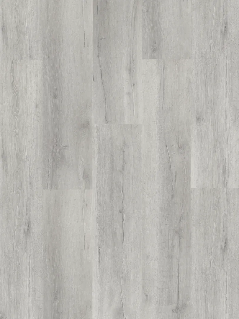 Belnor Club - DVLHDC0875-ARB - 4