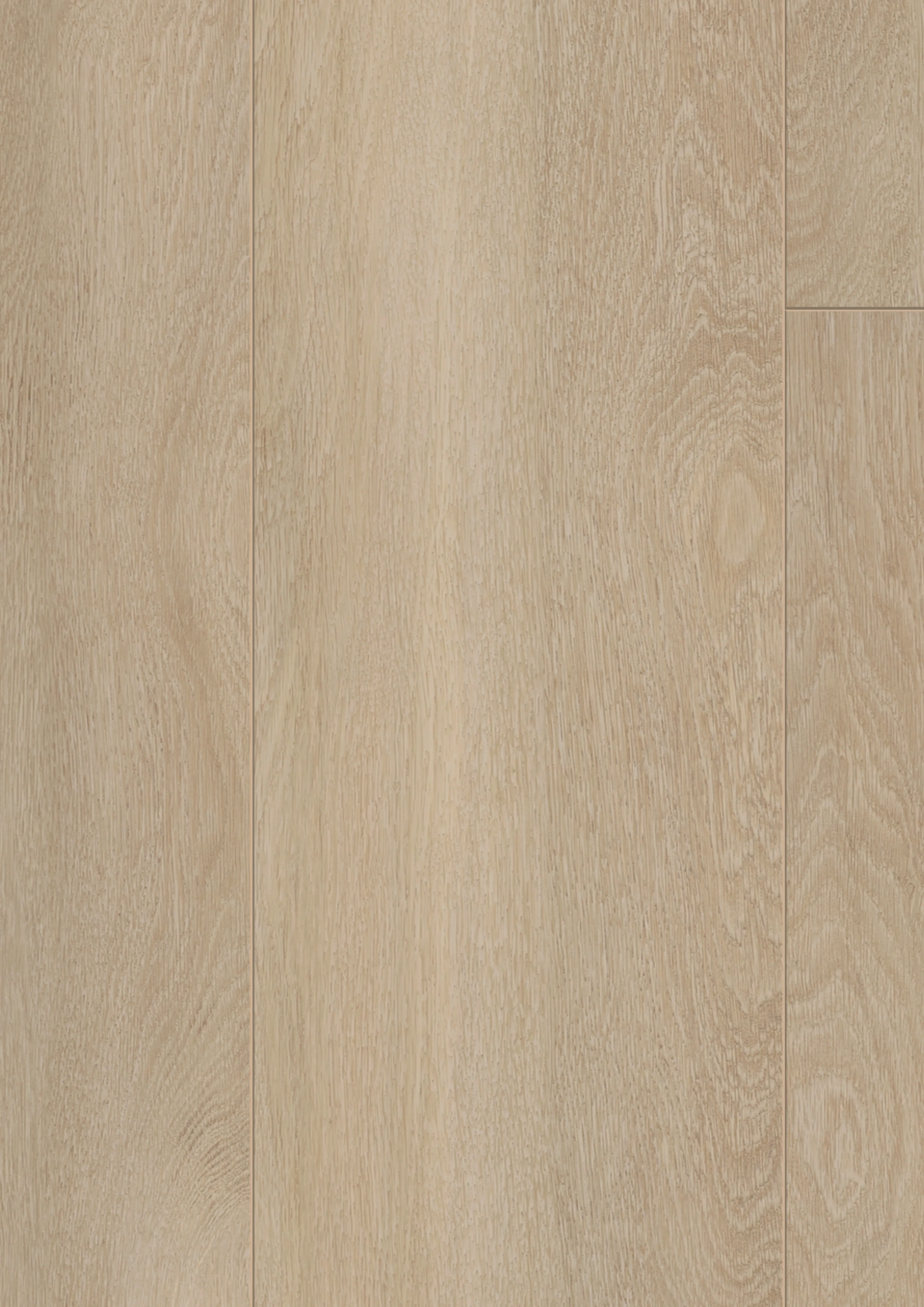 Costa Nova Oak - LA-LHD0472-KRO - 4