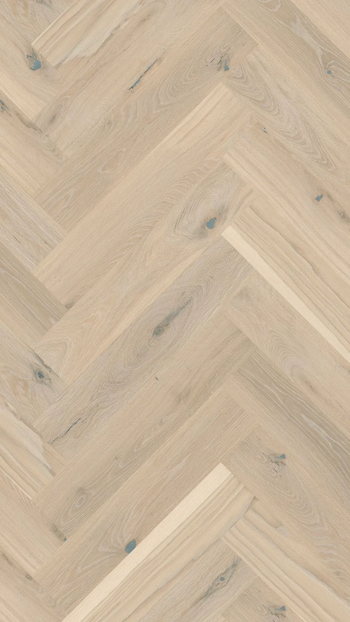 Salen Soft - FPHB0201-BON - 2