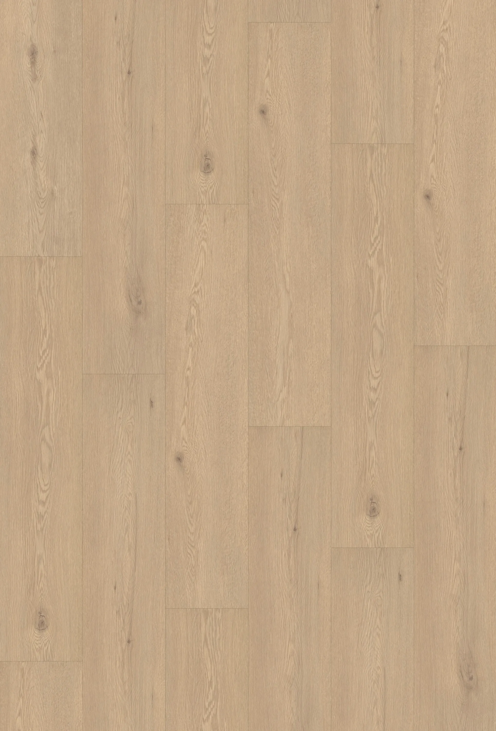 Vireo Soft - DVLHDL0007-BCO - 4