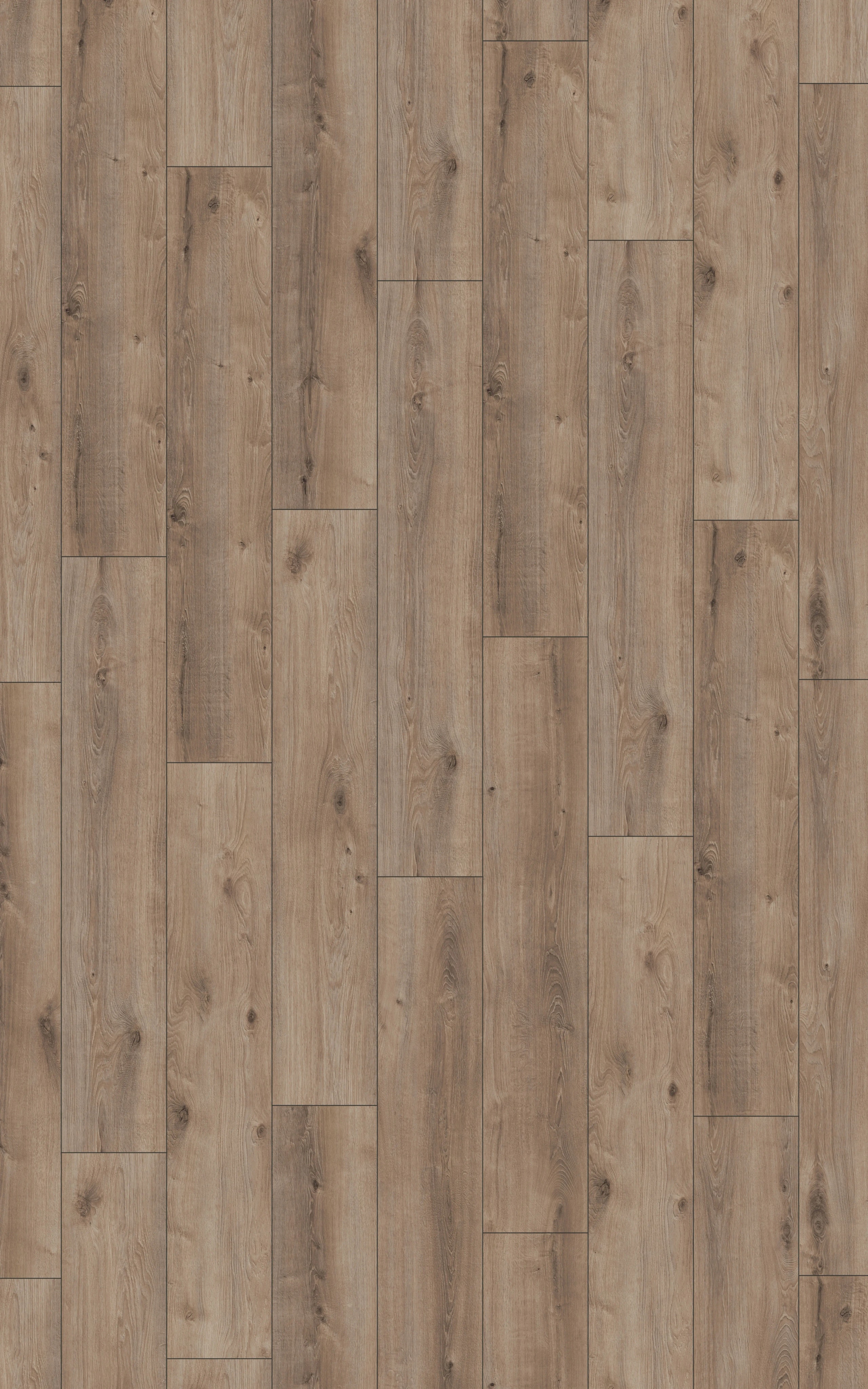 Kashmir Oak - LA-LHD0435-KRO - 4