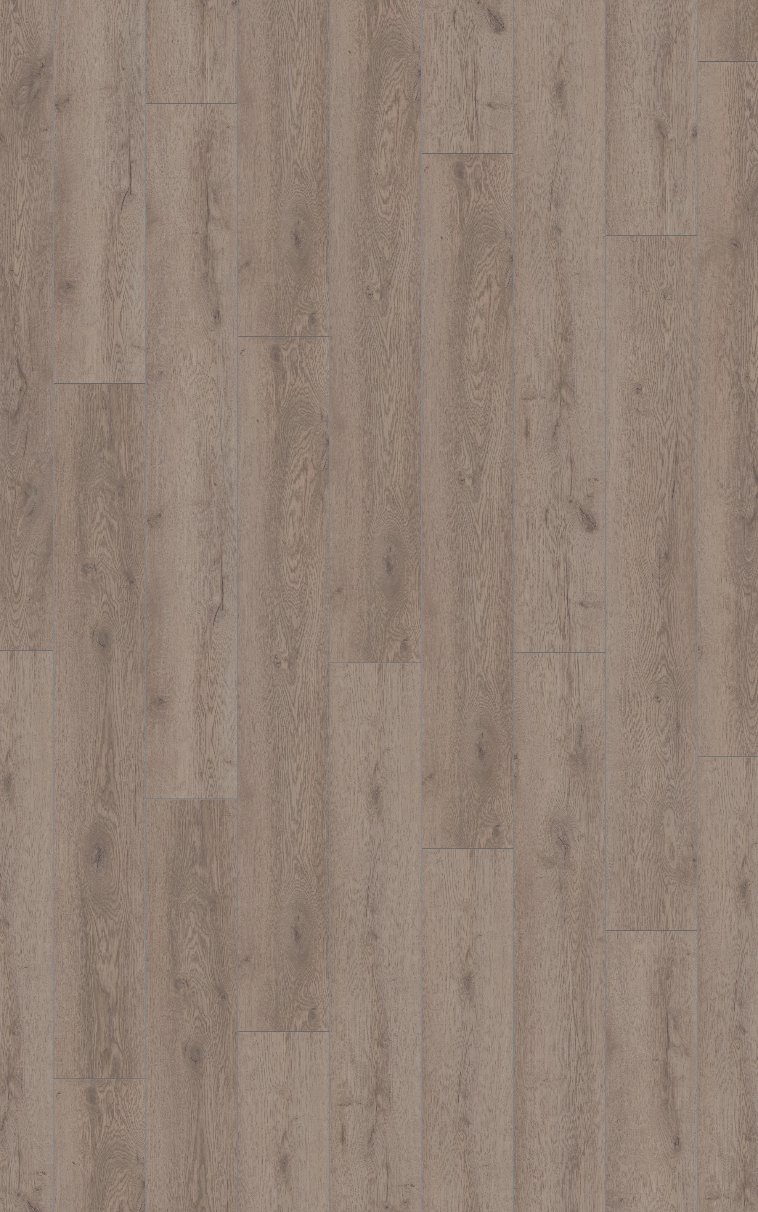 Purple Lake Oak - LA-LHD0327-KRO - 4