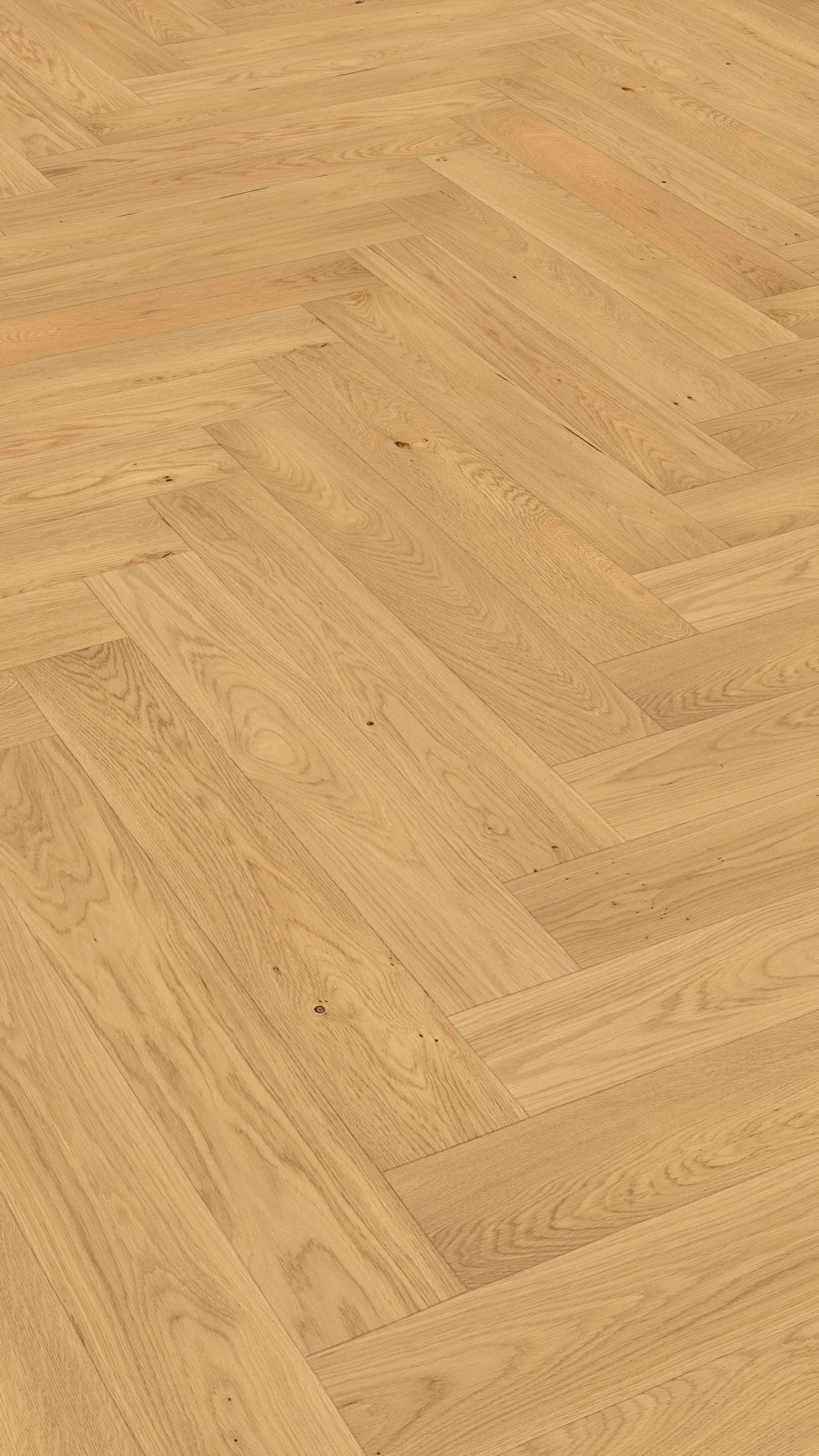 Sola Amber - FPHB0183-BÄR - 3