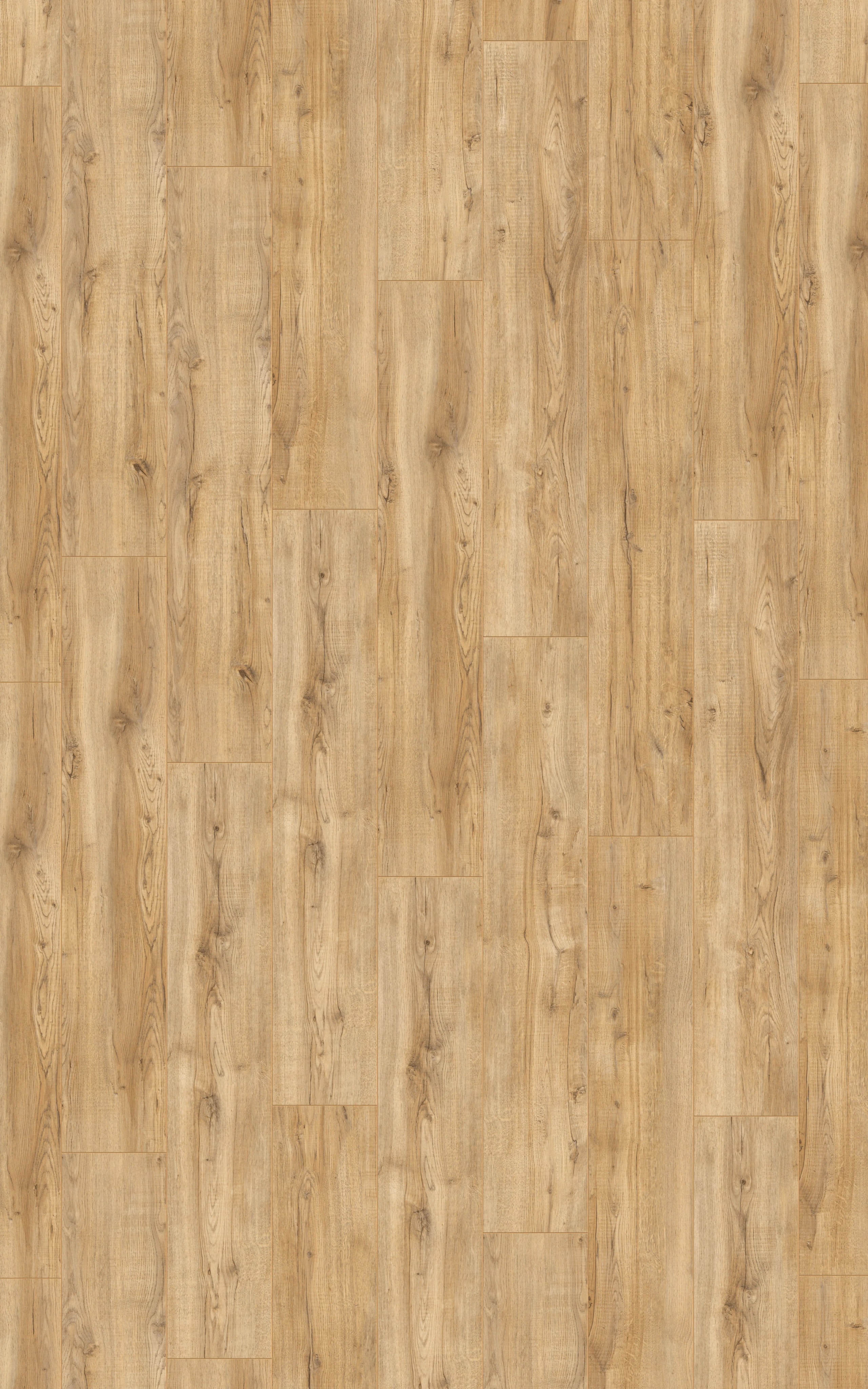 Beachside Oak - LA-LHD0274-KRO - 5