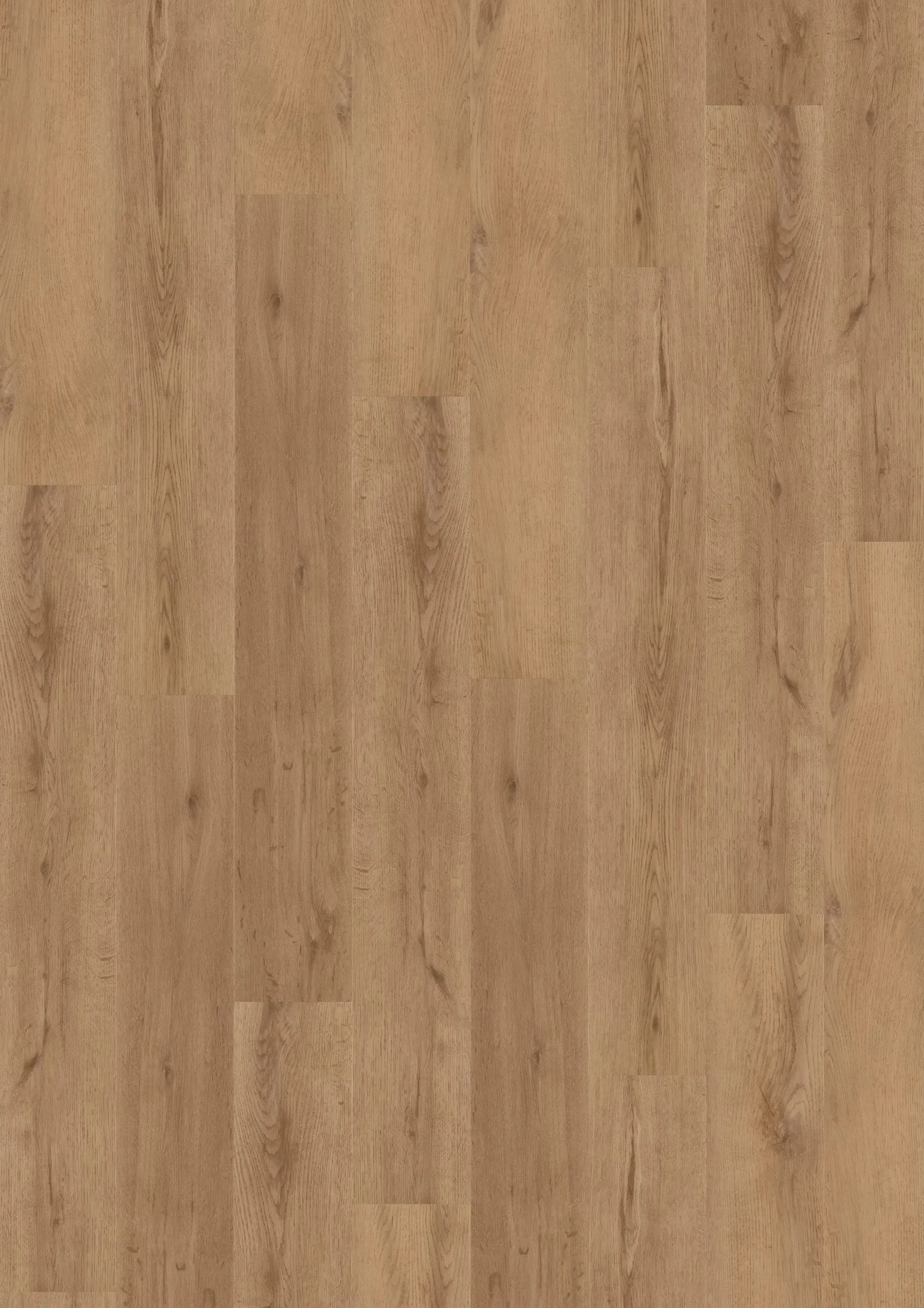 Belin Honey - DVLHDL0798-ONF - 2