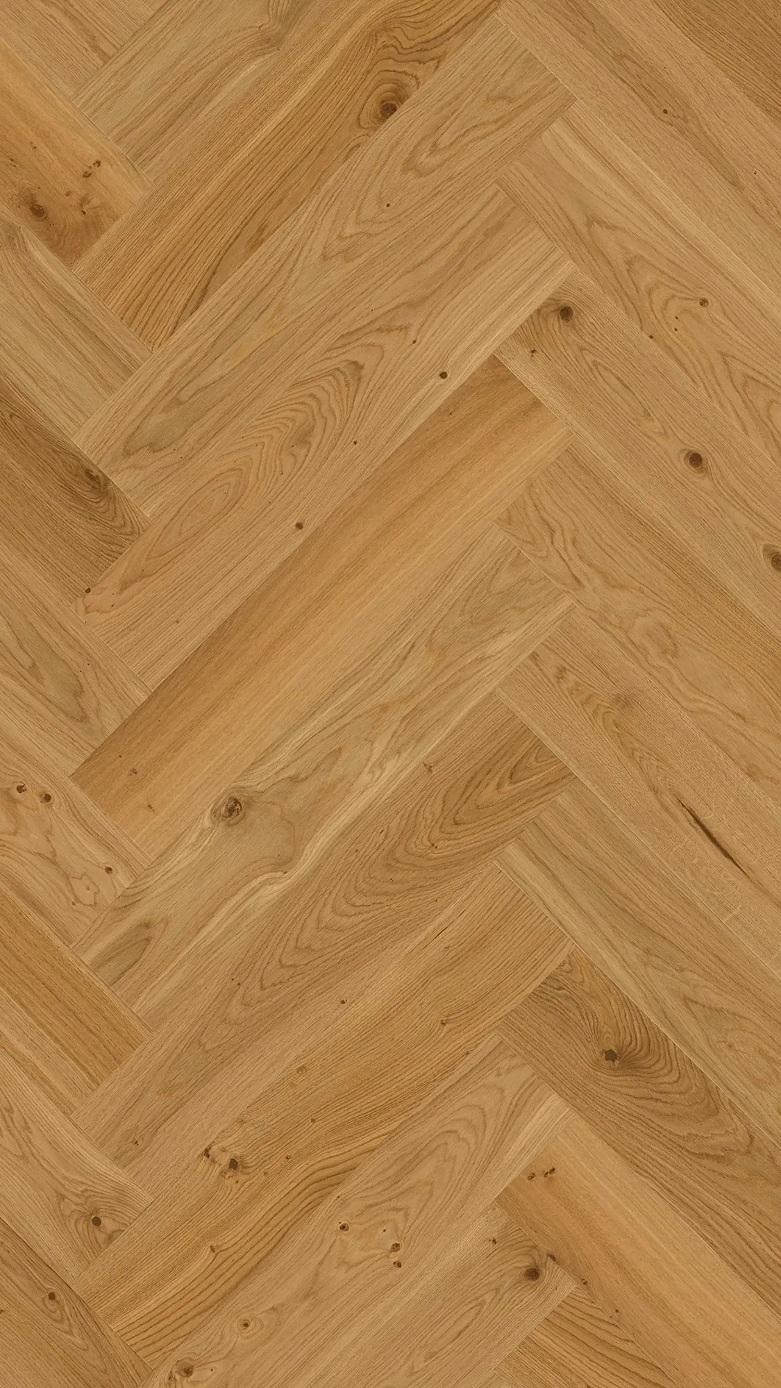 Elvan Oak - FPHB0197-BON - 2