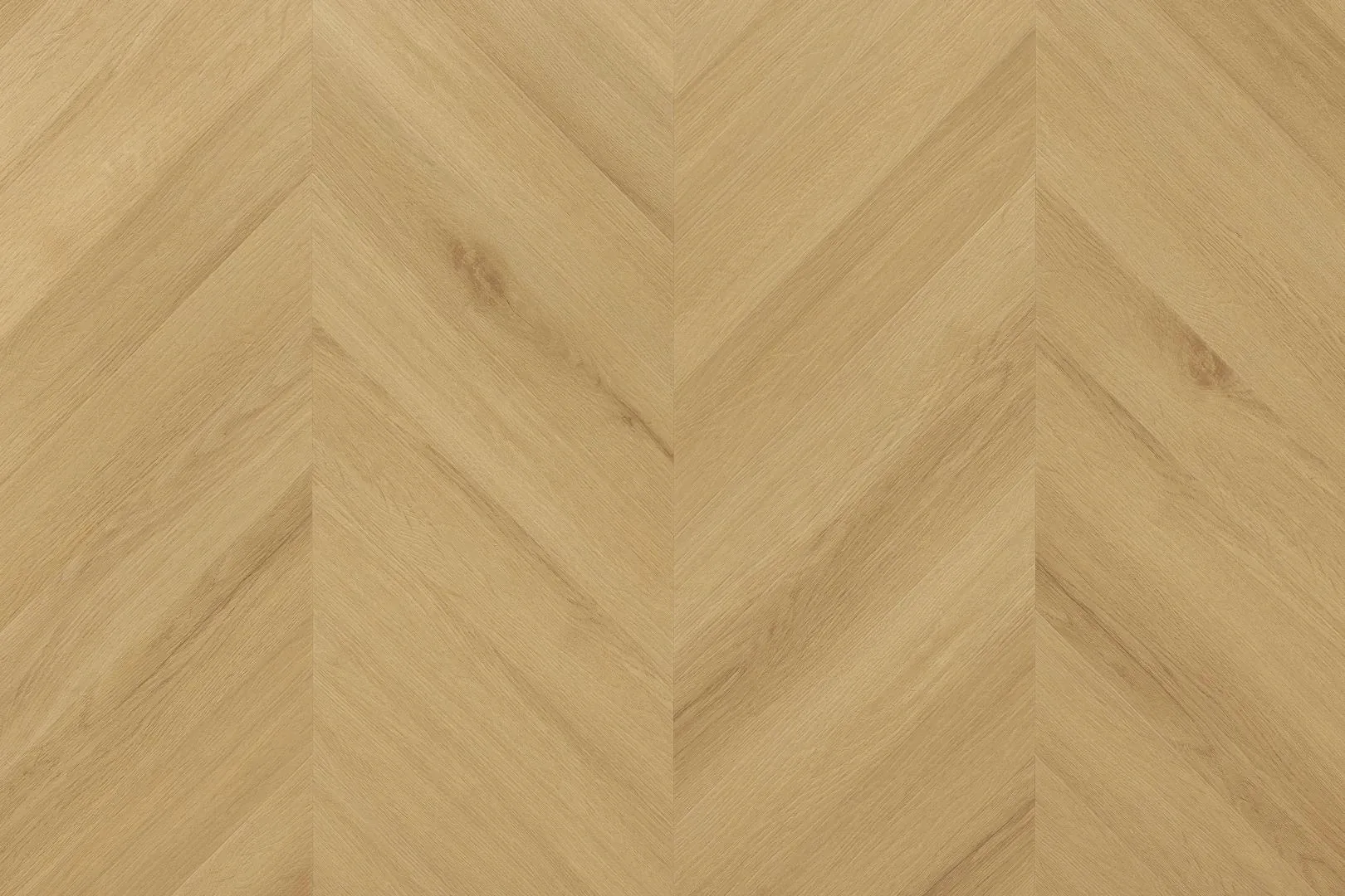 Melio Garden - DVCHC0890-ARB - 3