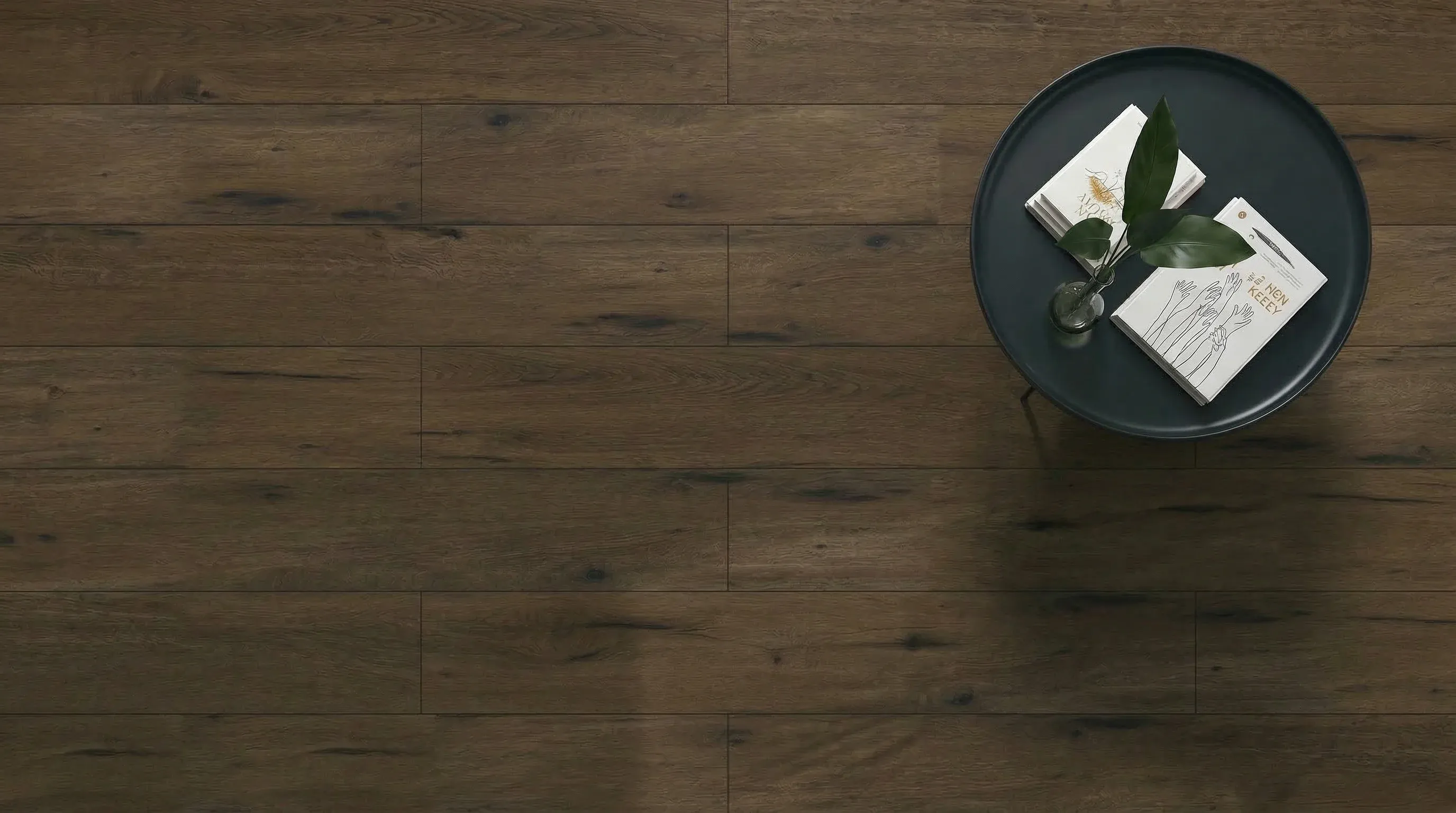 albrecht-rich-DVLHDG0679-LHM-cover