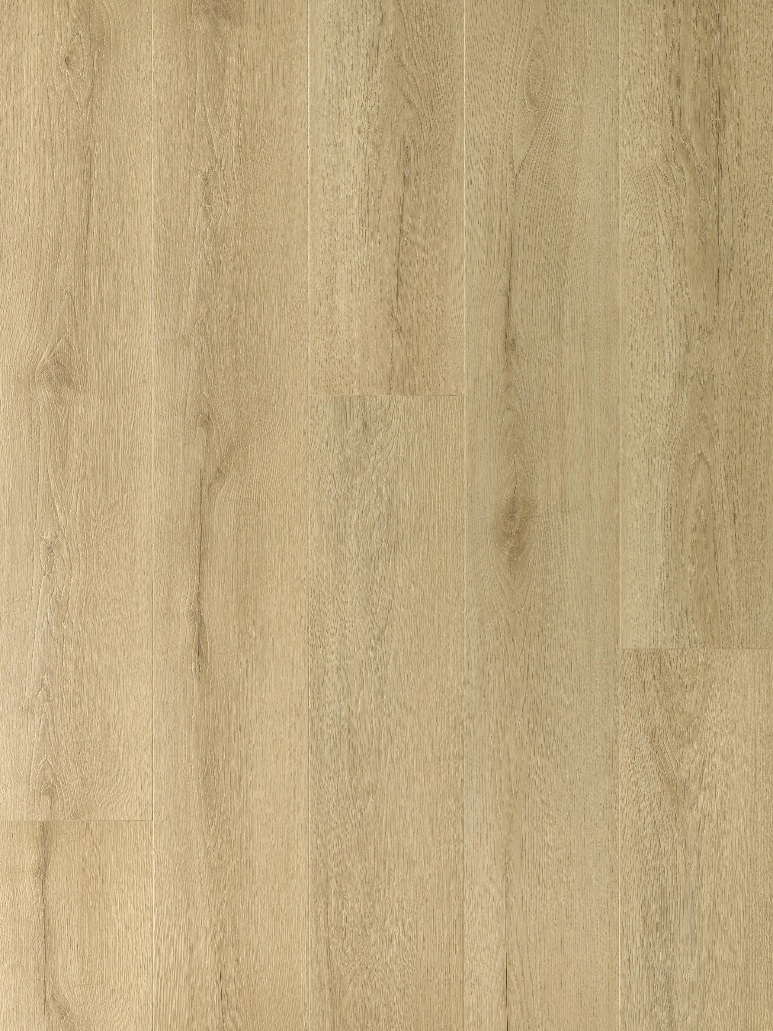 alton-glow-DVLHDC0937-ARB-5