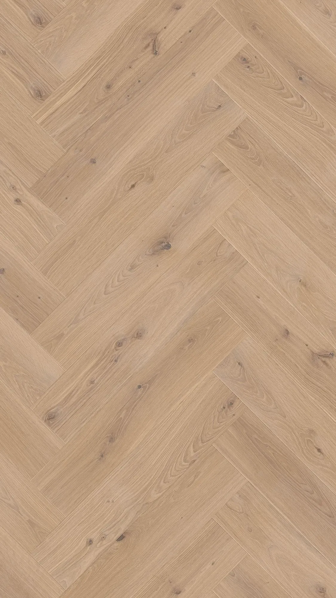 Noma Light - FPHB0190-BON - 3