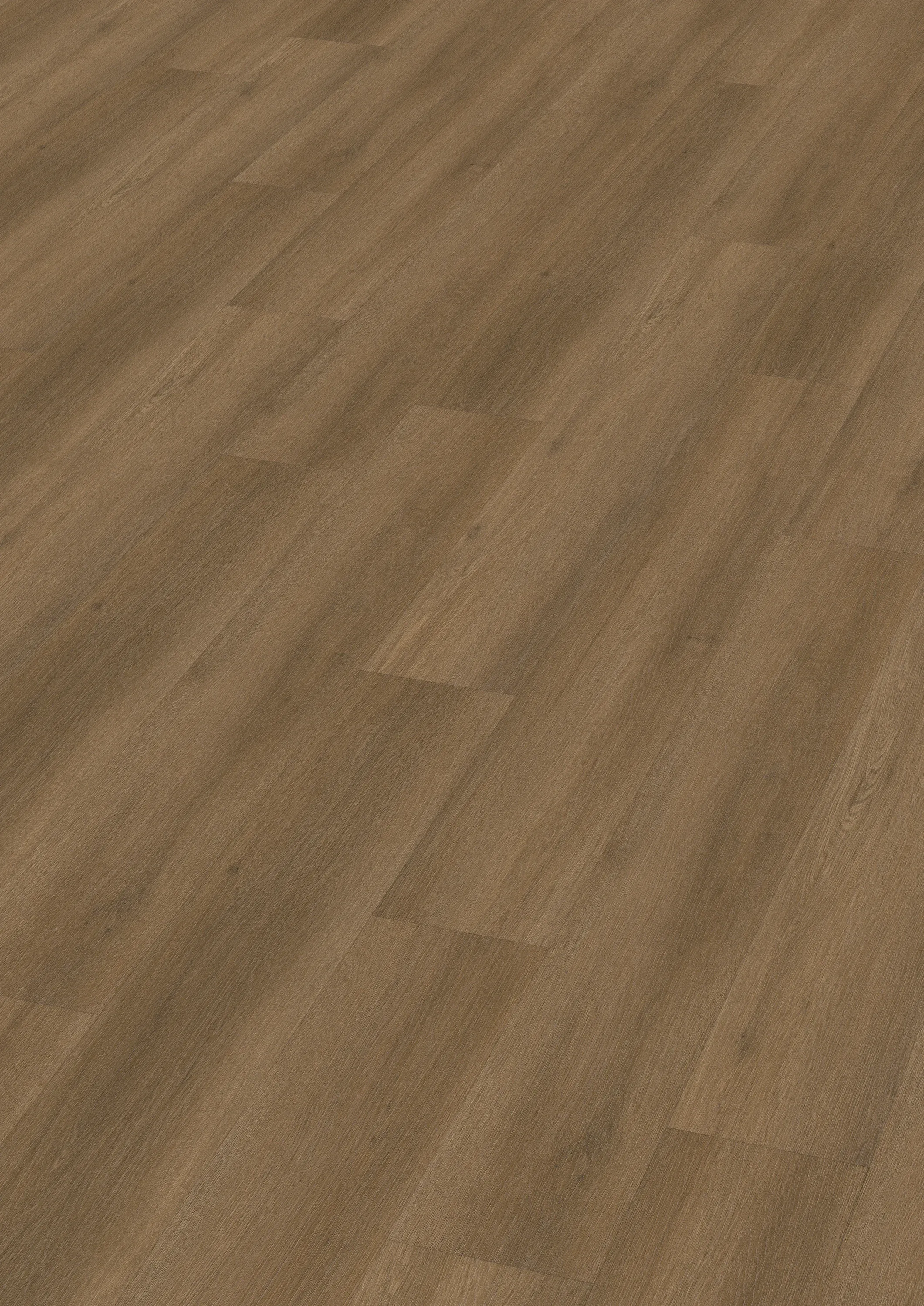 castor-noble-DVLHDG0859-BCO-3