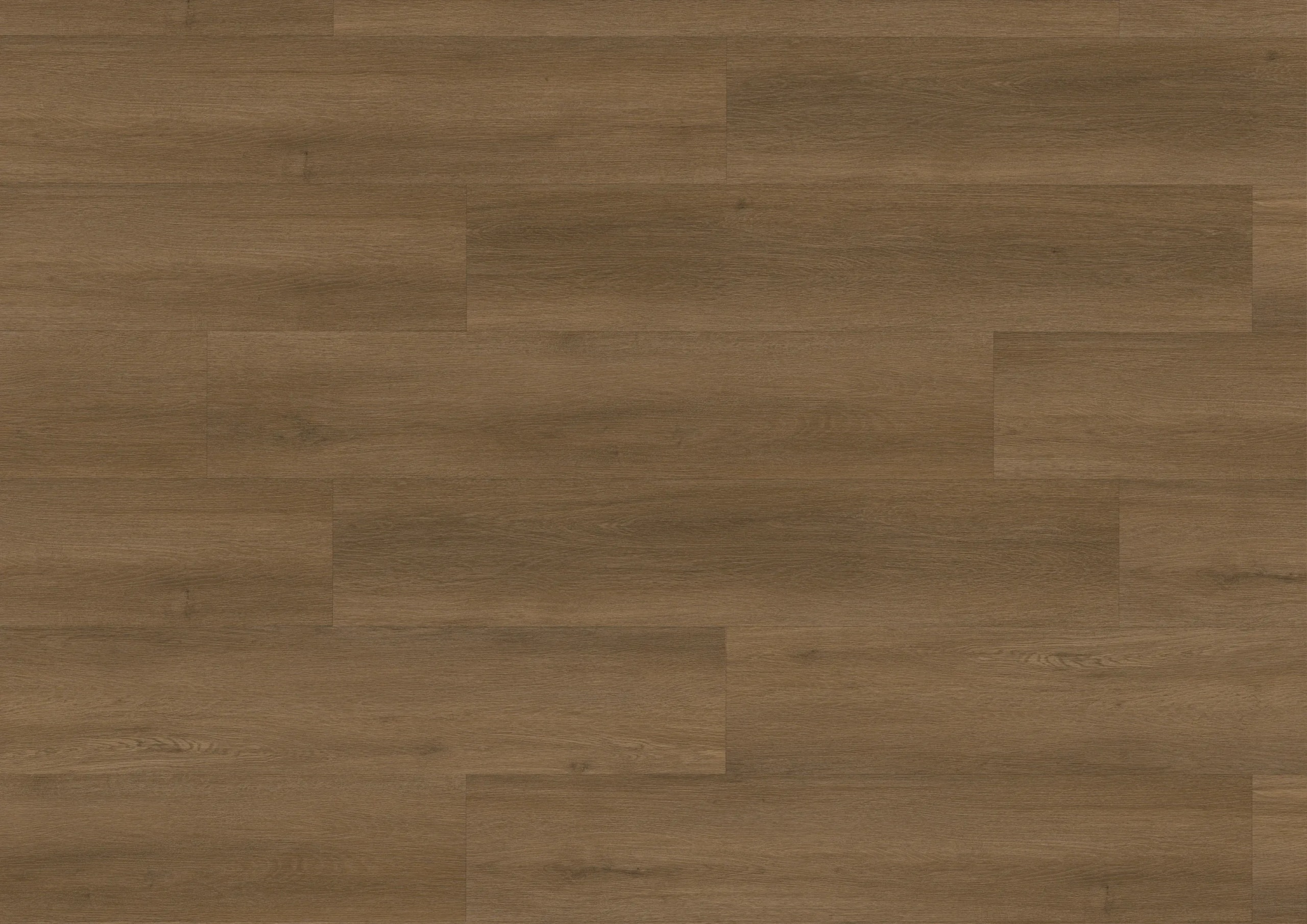 castor-noble-DVLHDG0859-BCO-4