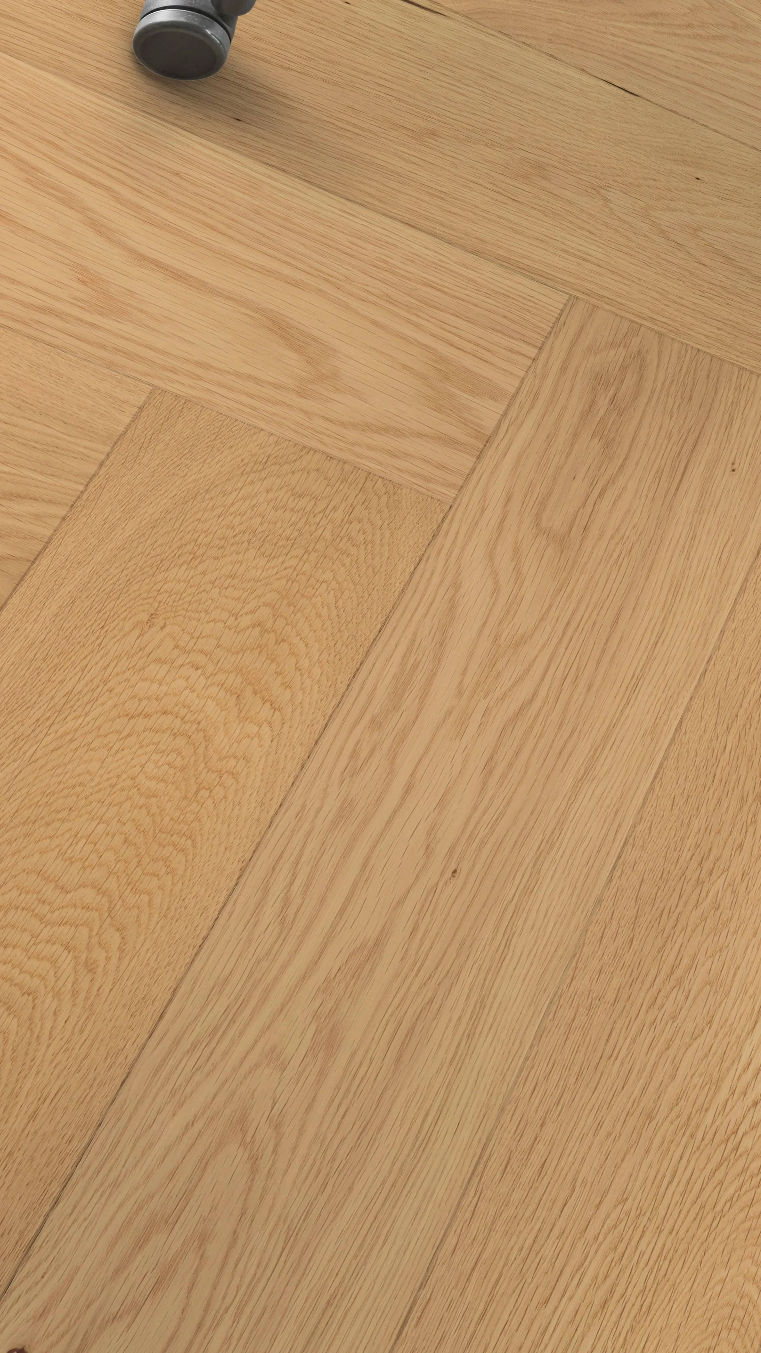 Sola Amber - FPHB0183-BÄR - 1