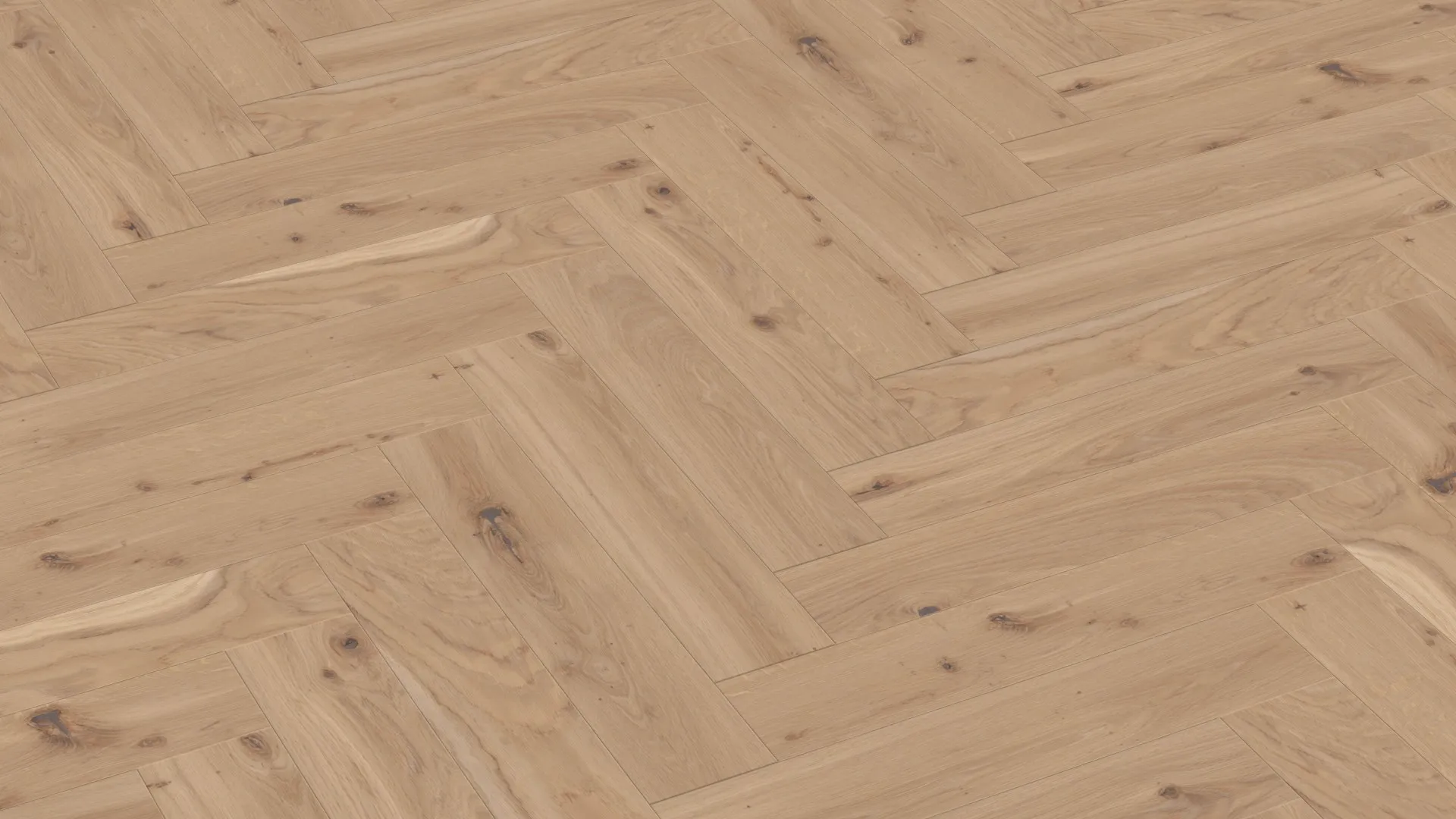 elin-calm-FPHB0074-BON-3