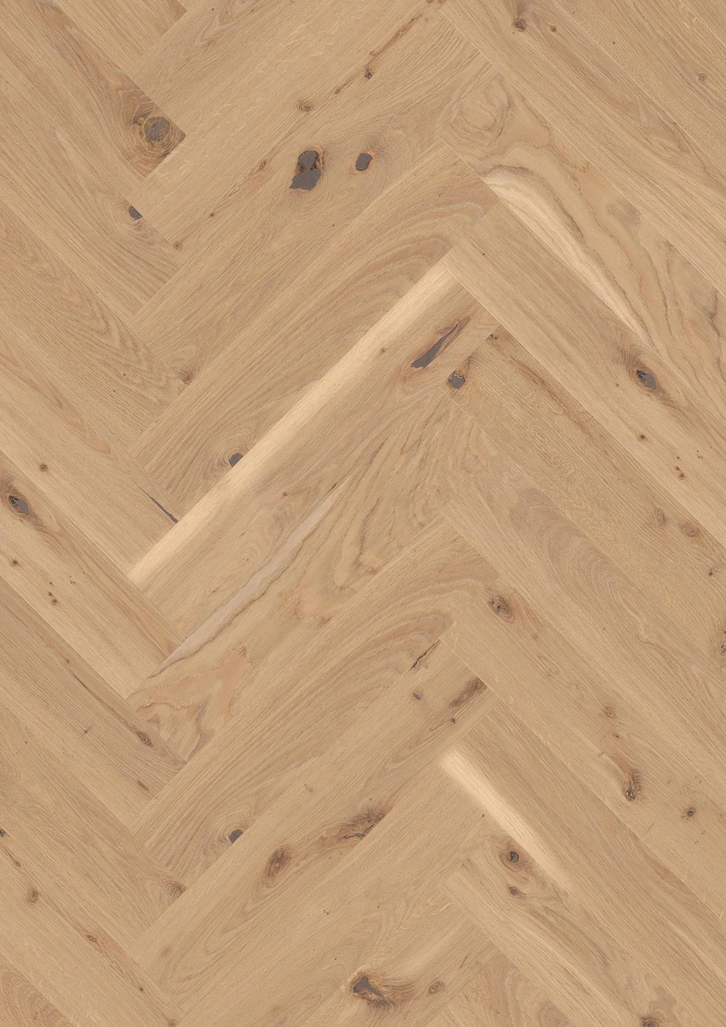 elin-calm-FPHB0074-BON-4