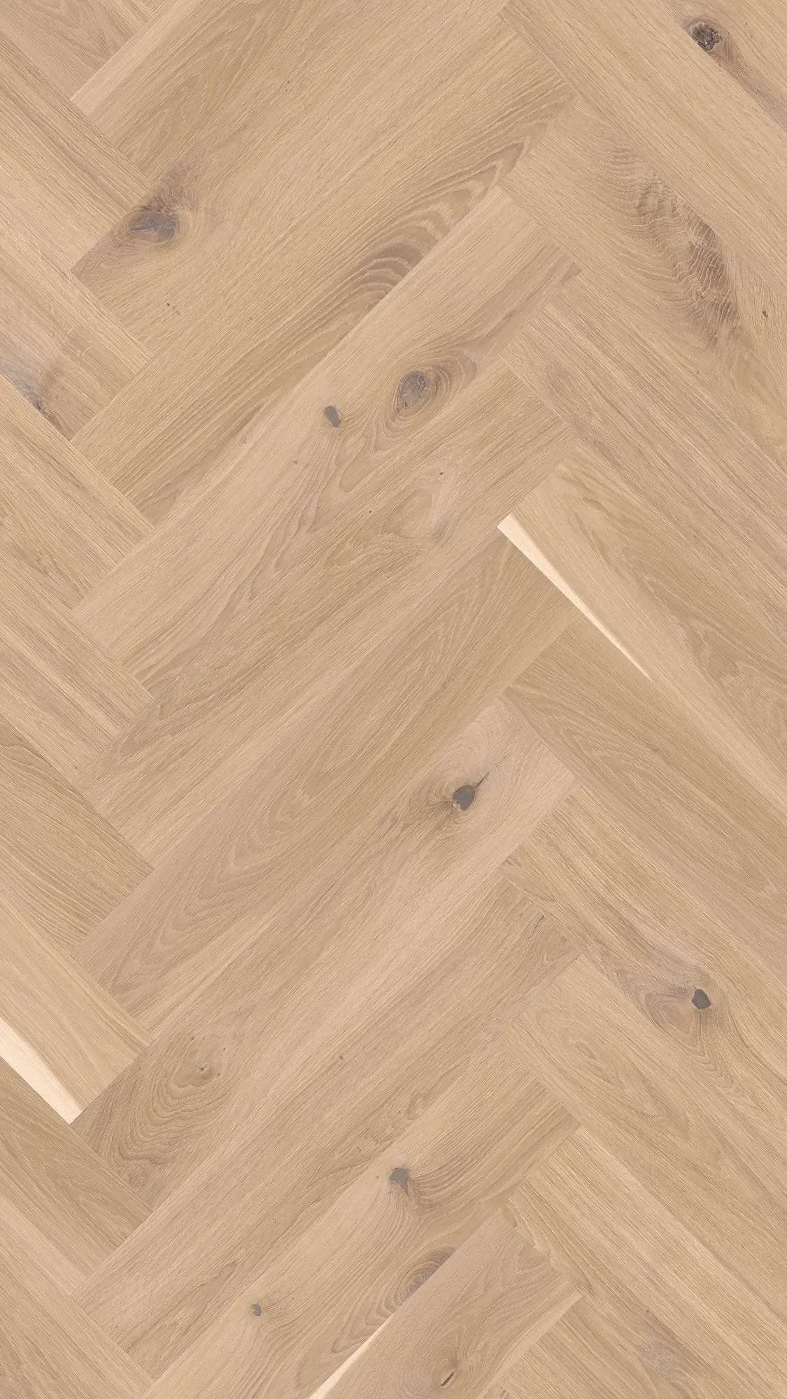 Luma Soft - FPHB0200-BON - 3