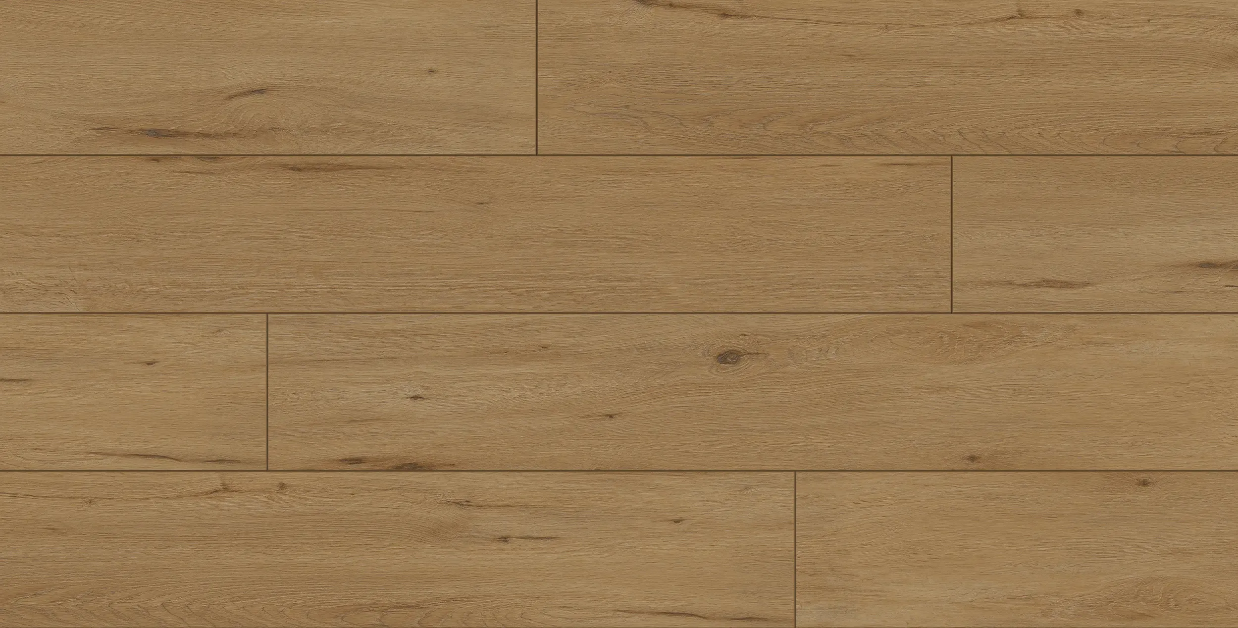 halon-honey-DVLHDG0682-LHM-1