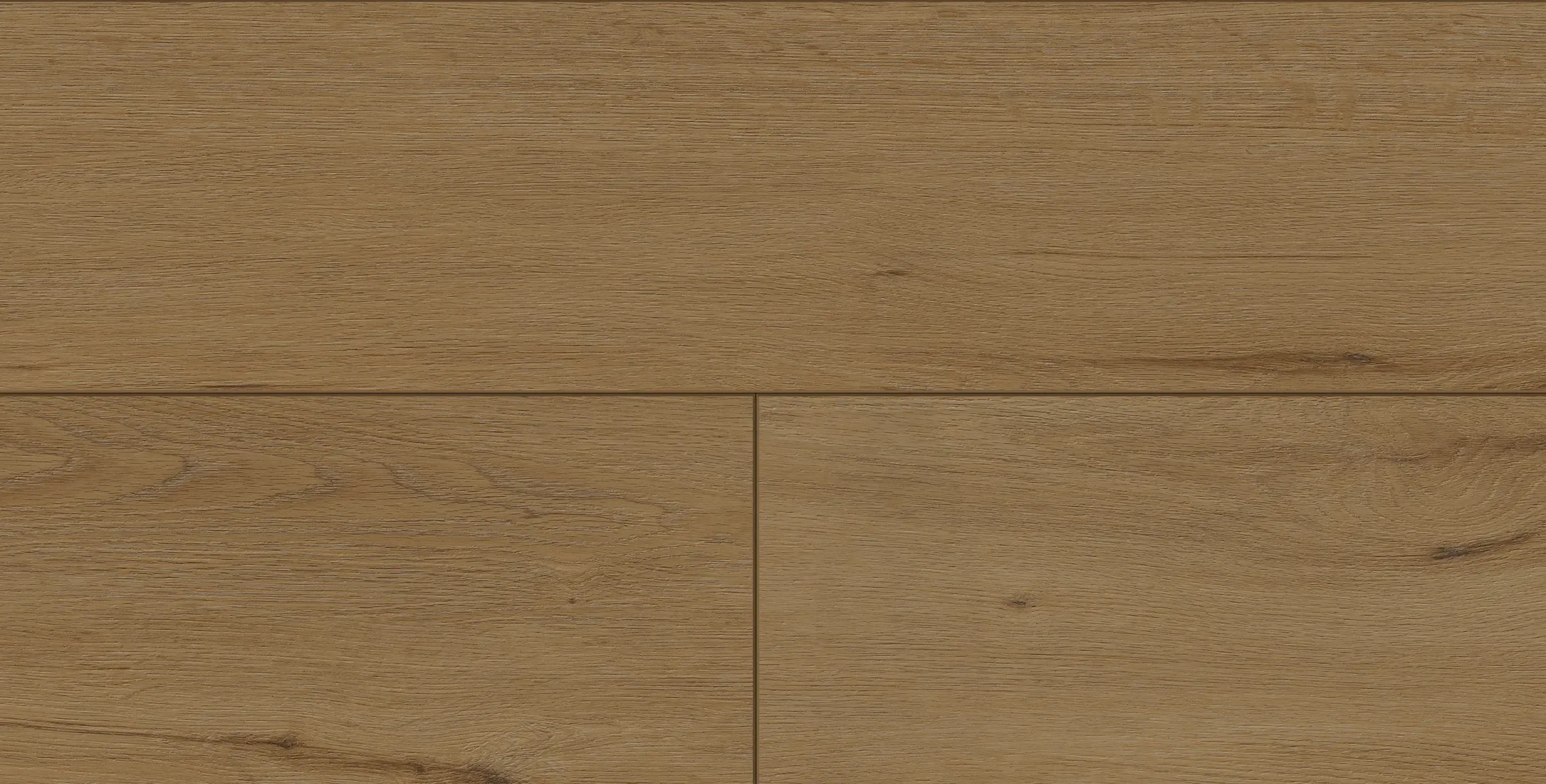 halon-honey-DVLHDG0682-LHM-2