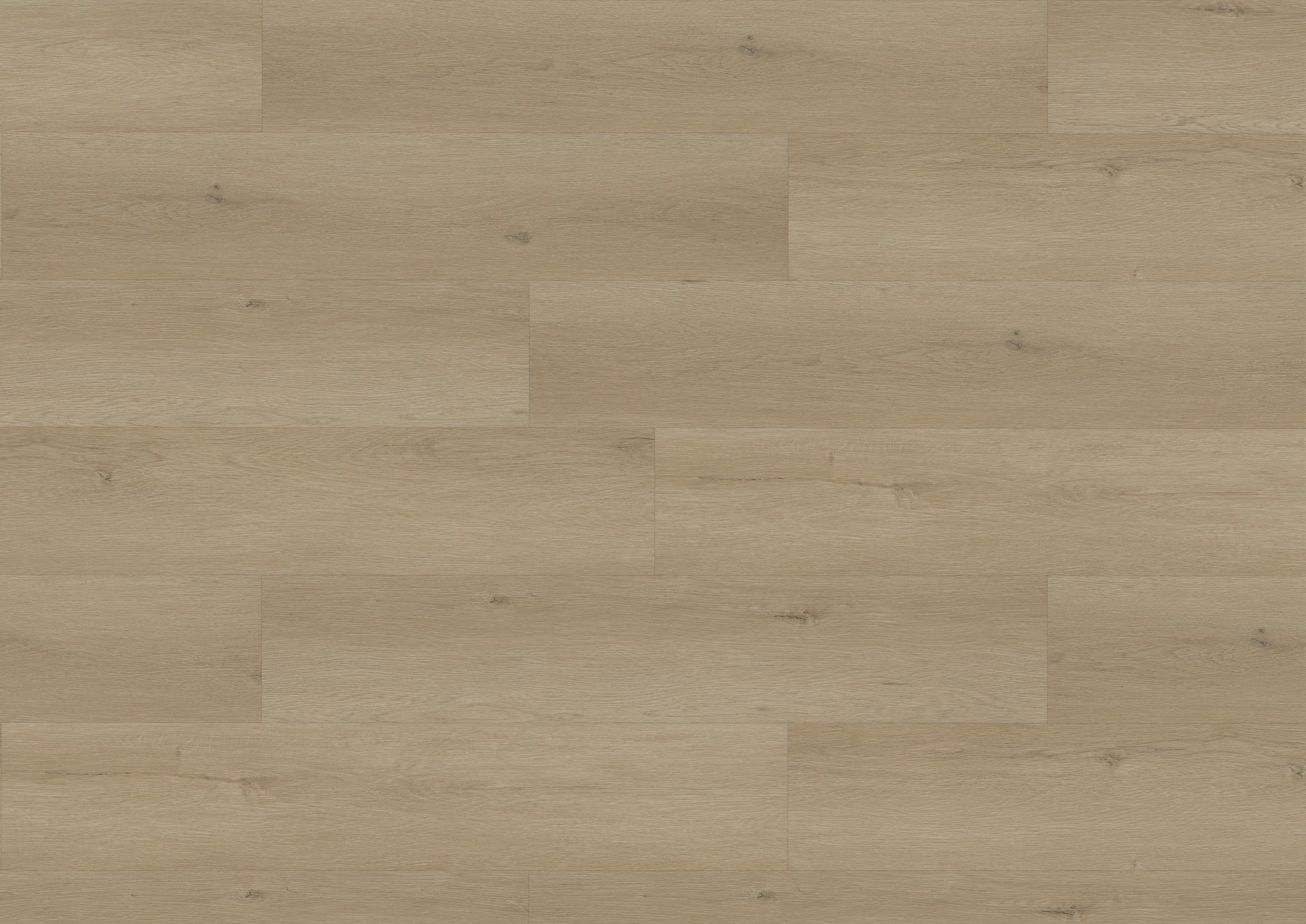 hesta-shore-DVLHDG0858-BCO-3