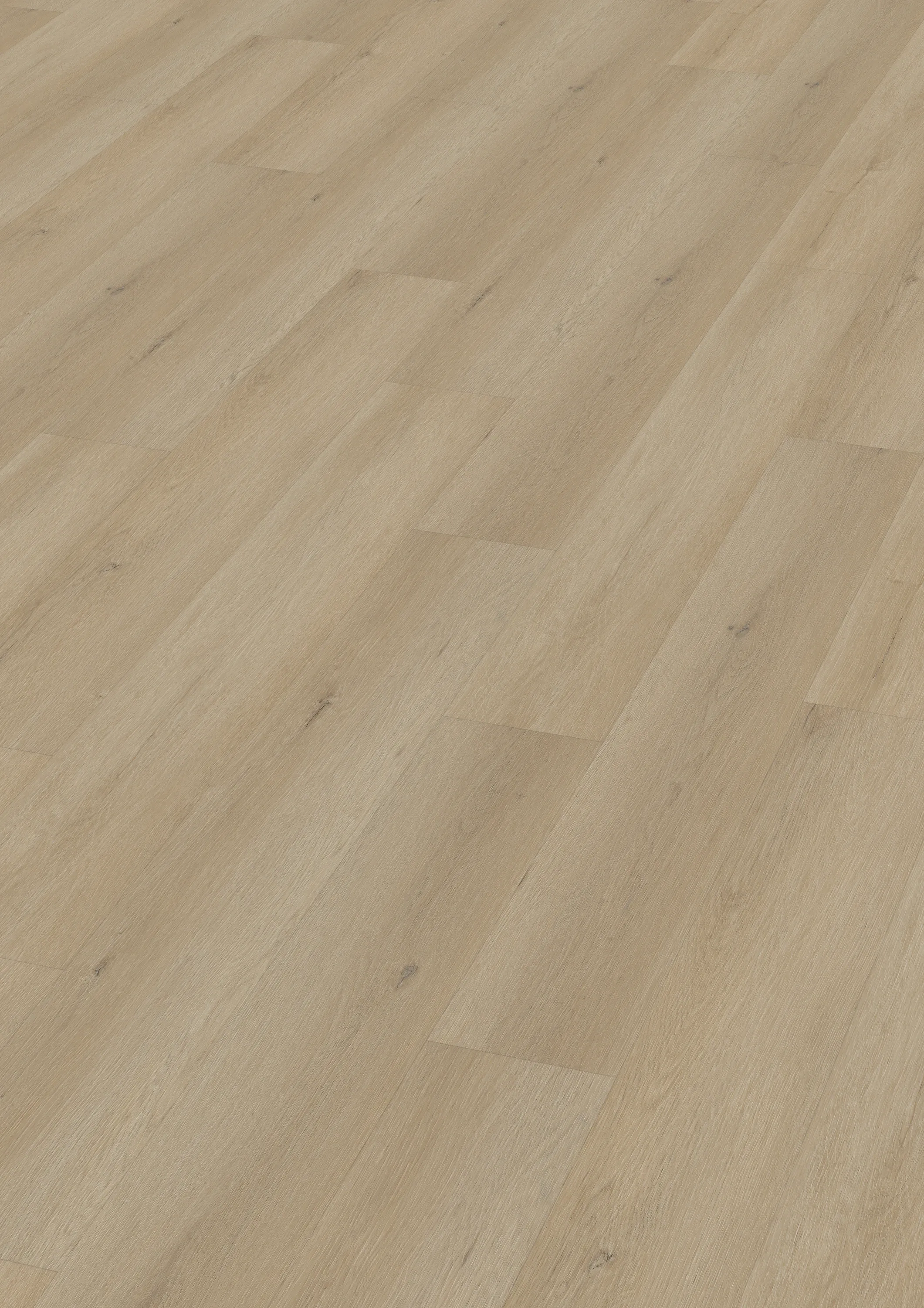 hesta-shore-DVLHDG0858-BCO-4