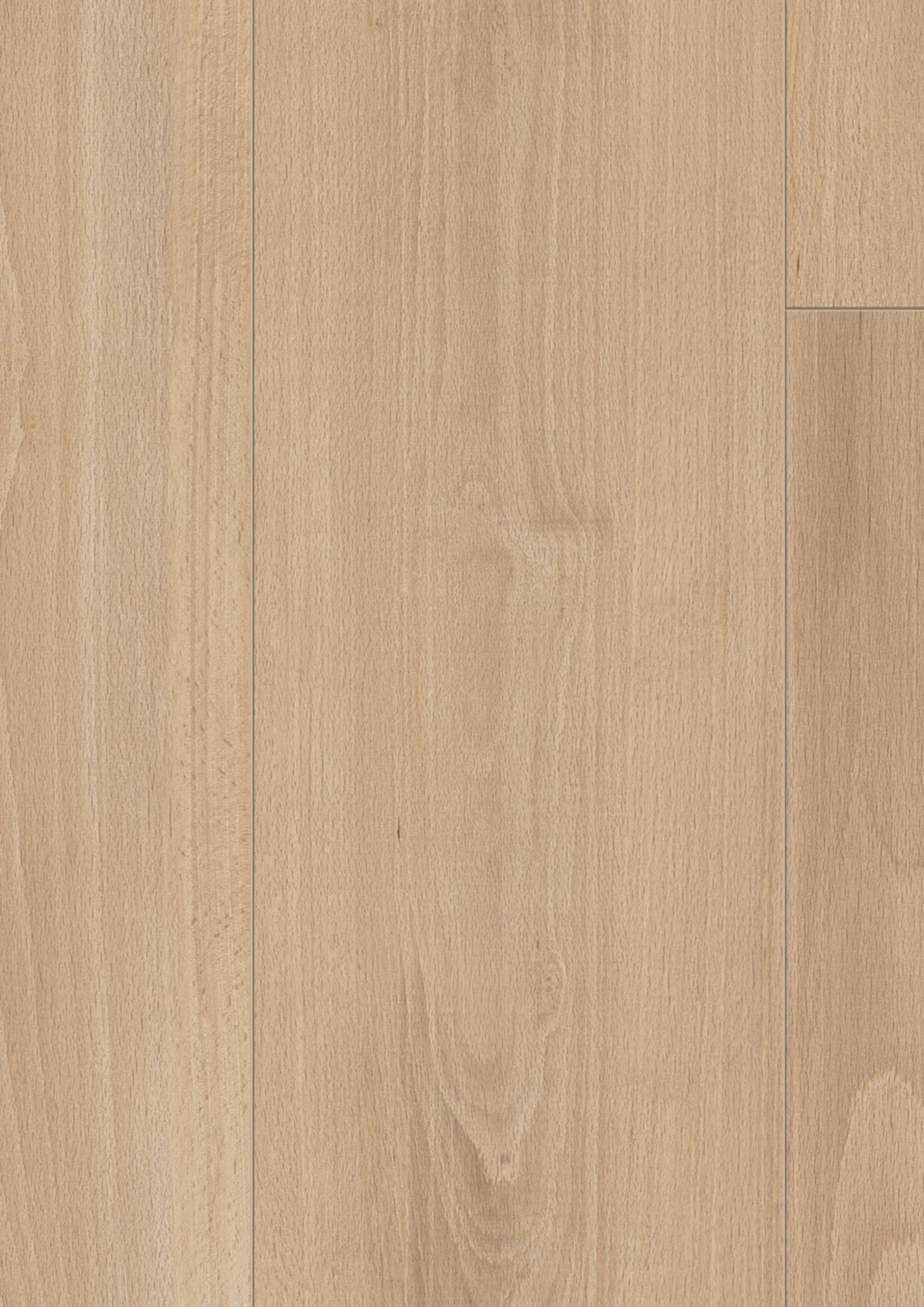 Santa Mira Beech - LA-LHD0469-KRO - 4