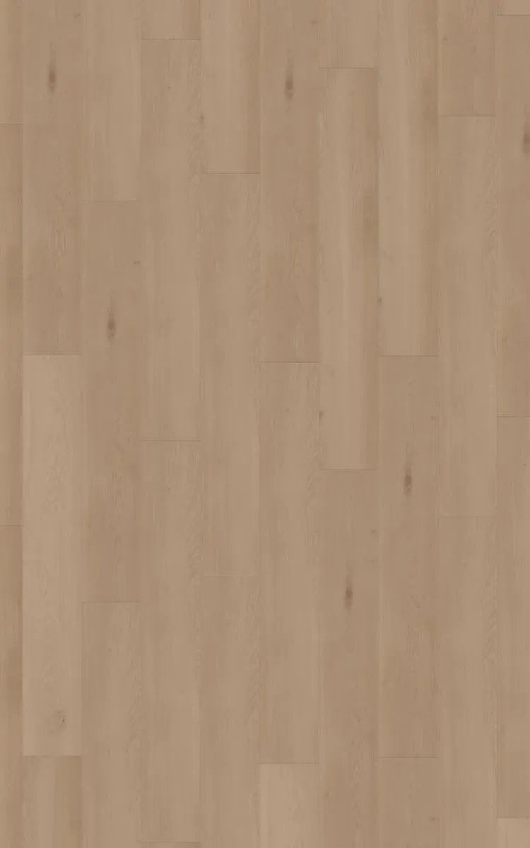 Harvest Oak - DVLHDC0835-CRP - 4