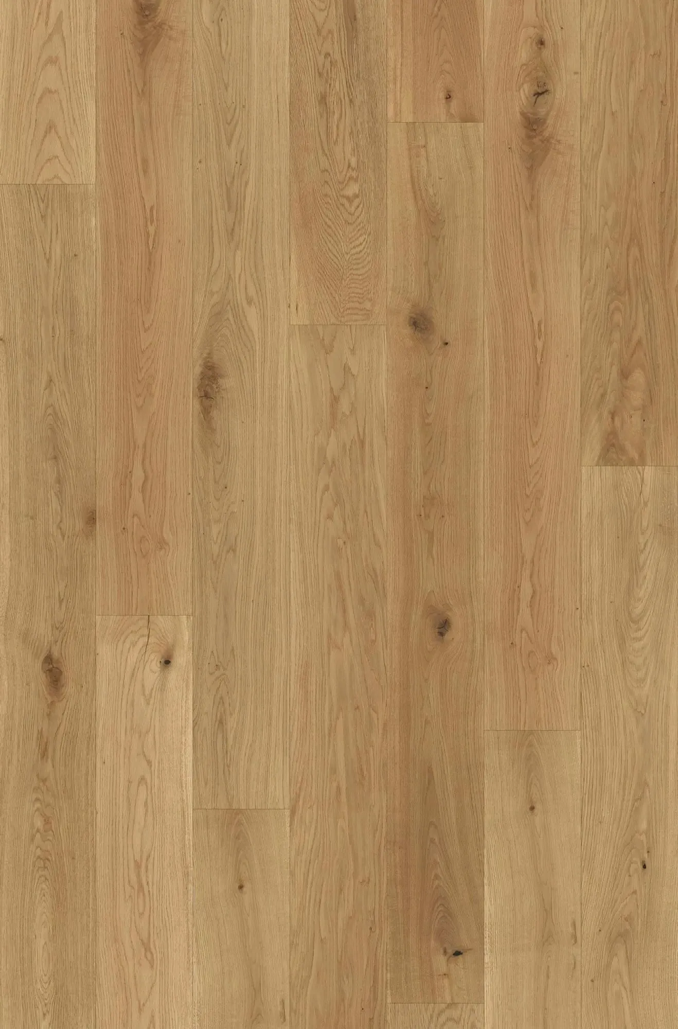 Aurel Sun - FPLHD0003-BAR - 2