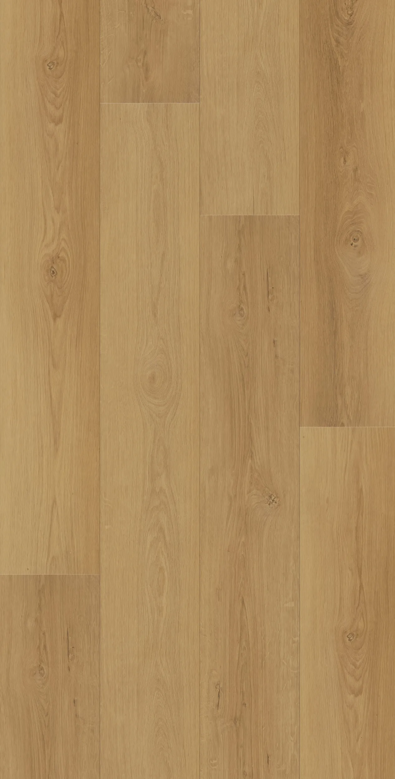 miran-honey-DVLHDG0873-LHM-portrait-2