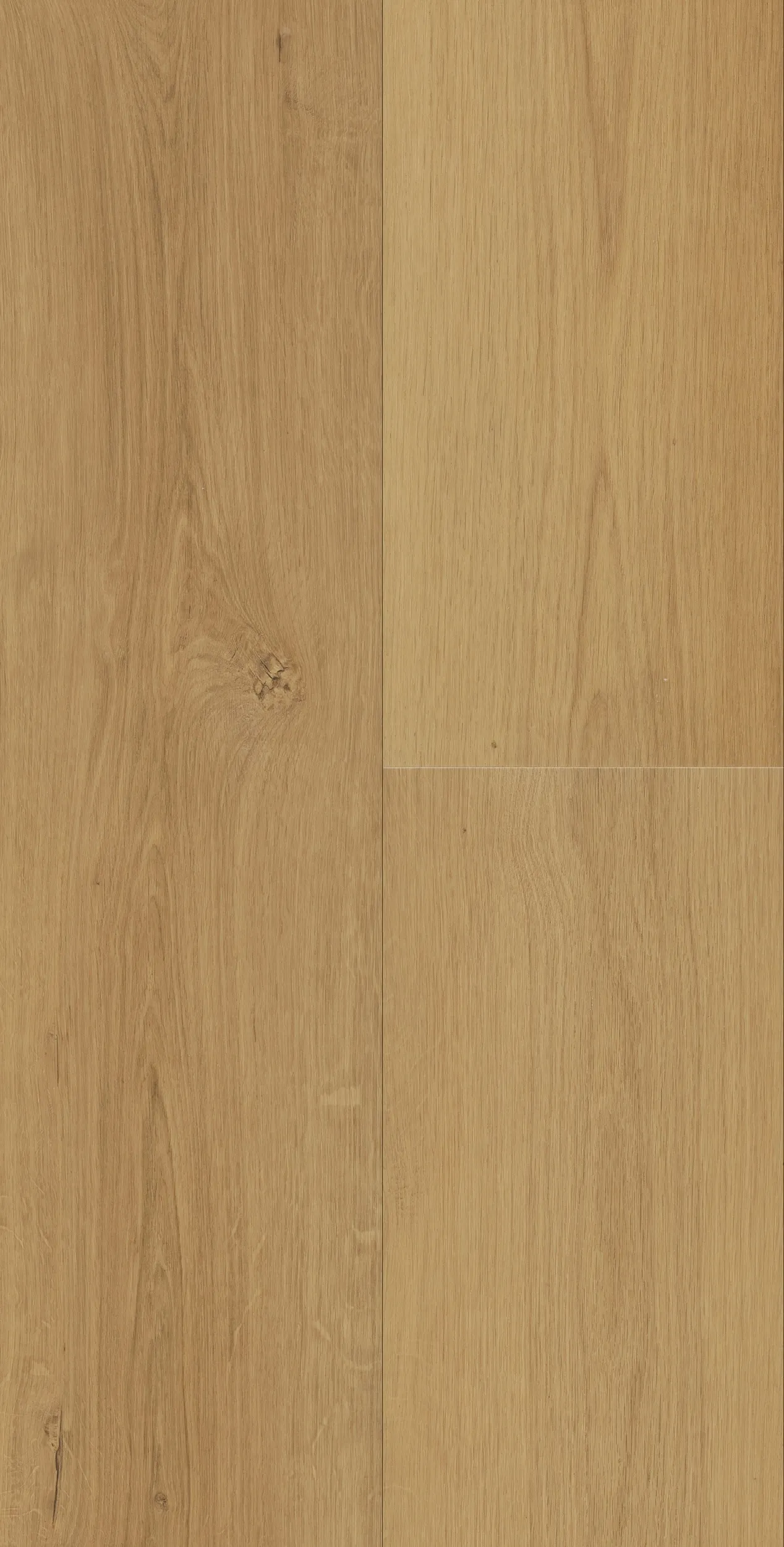 miran-honey-DVLHDG0873-LHM-portrait