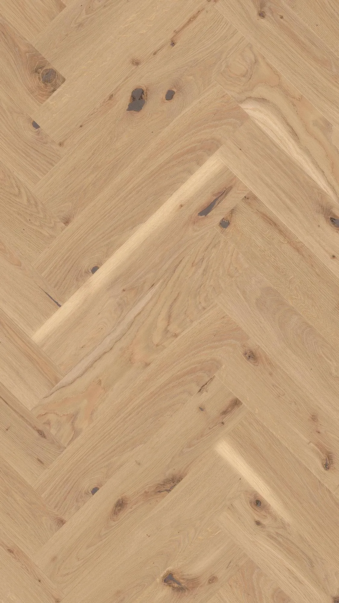 Lino Soft - FPHB0199-BON - 2