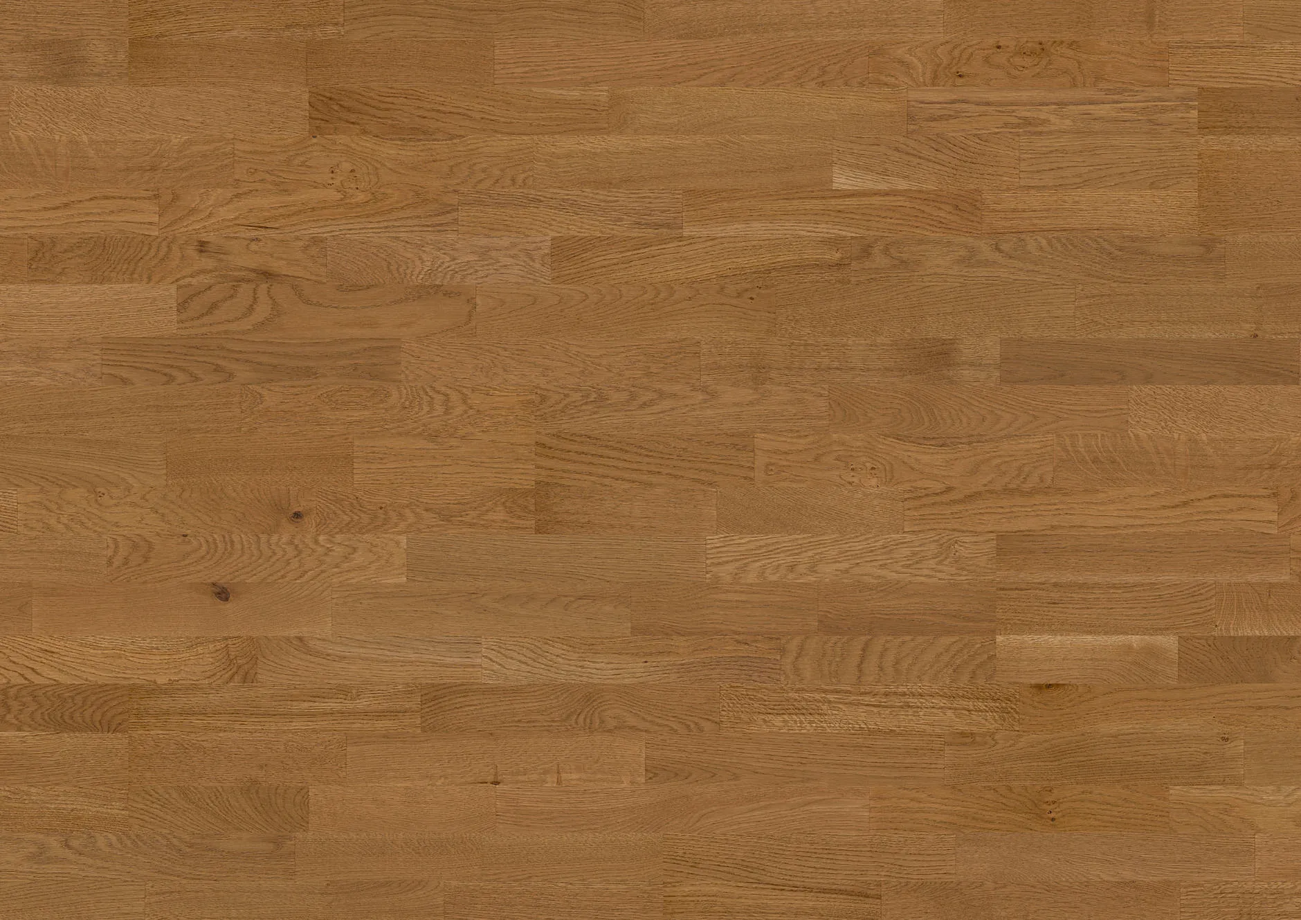 nerin-glow-FPSH0008-THU-3