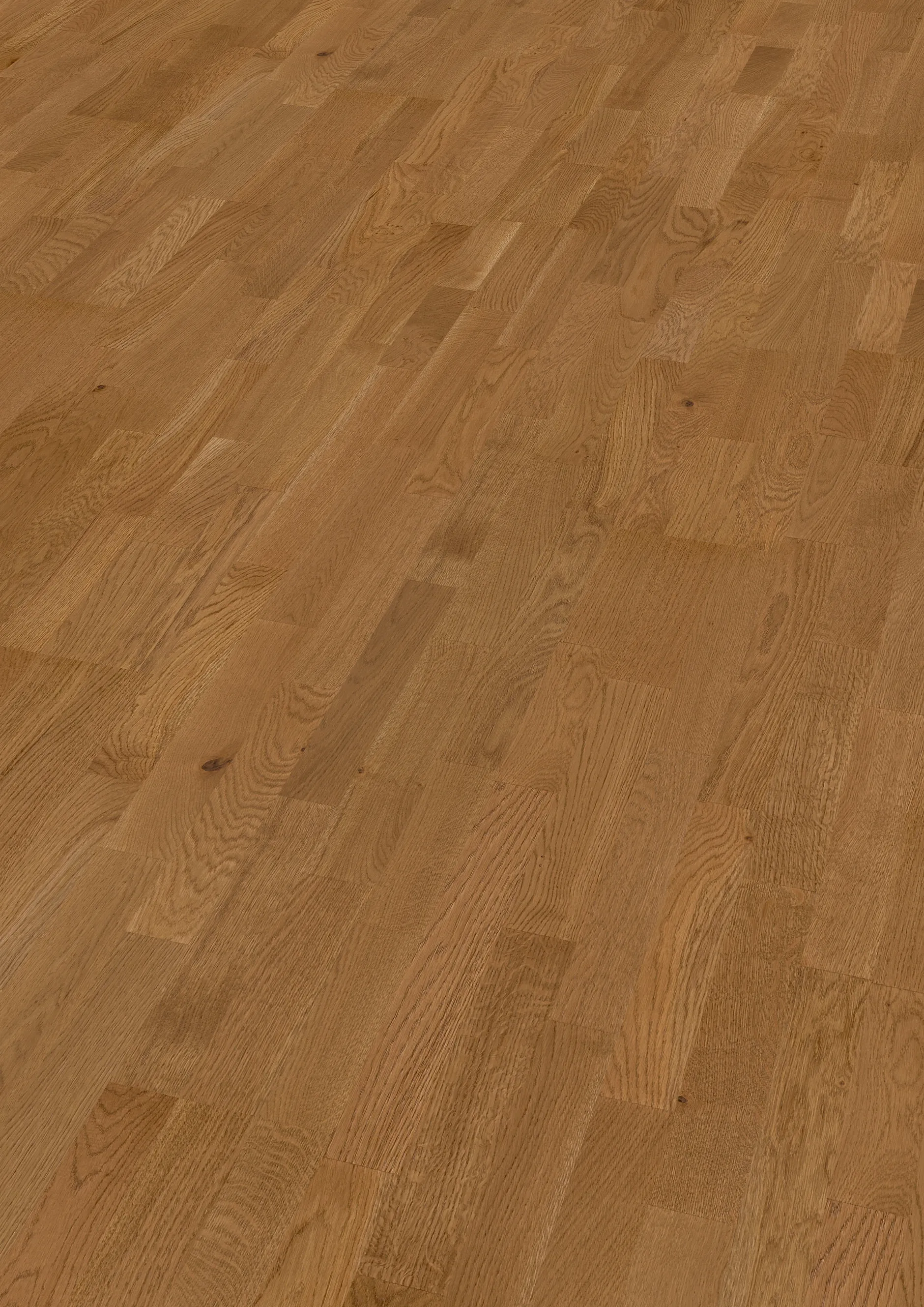 nerin-glow-FPSH0008-THU-4