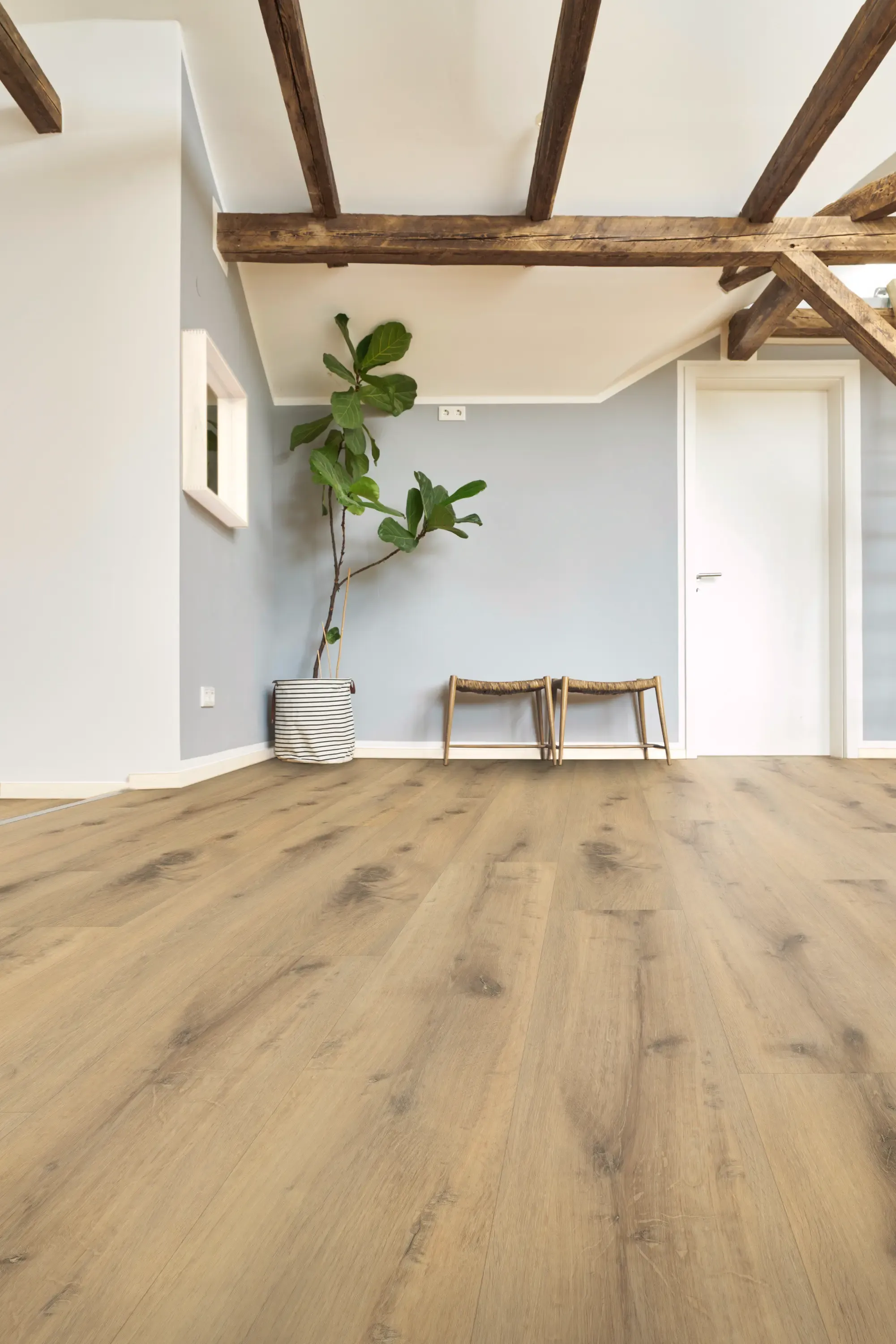 nolio-calm-DVLHDL0020-BCO-3