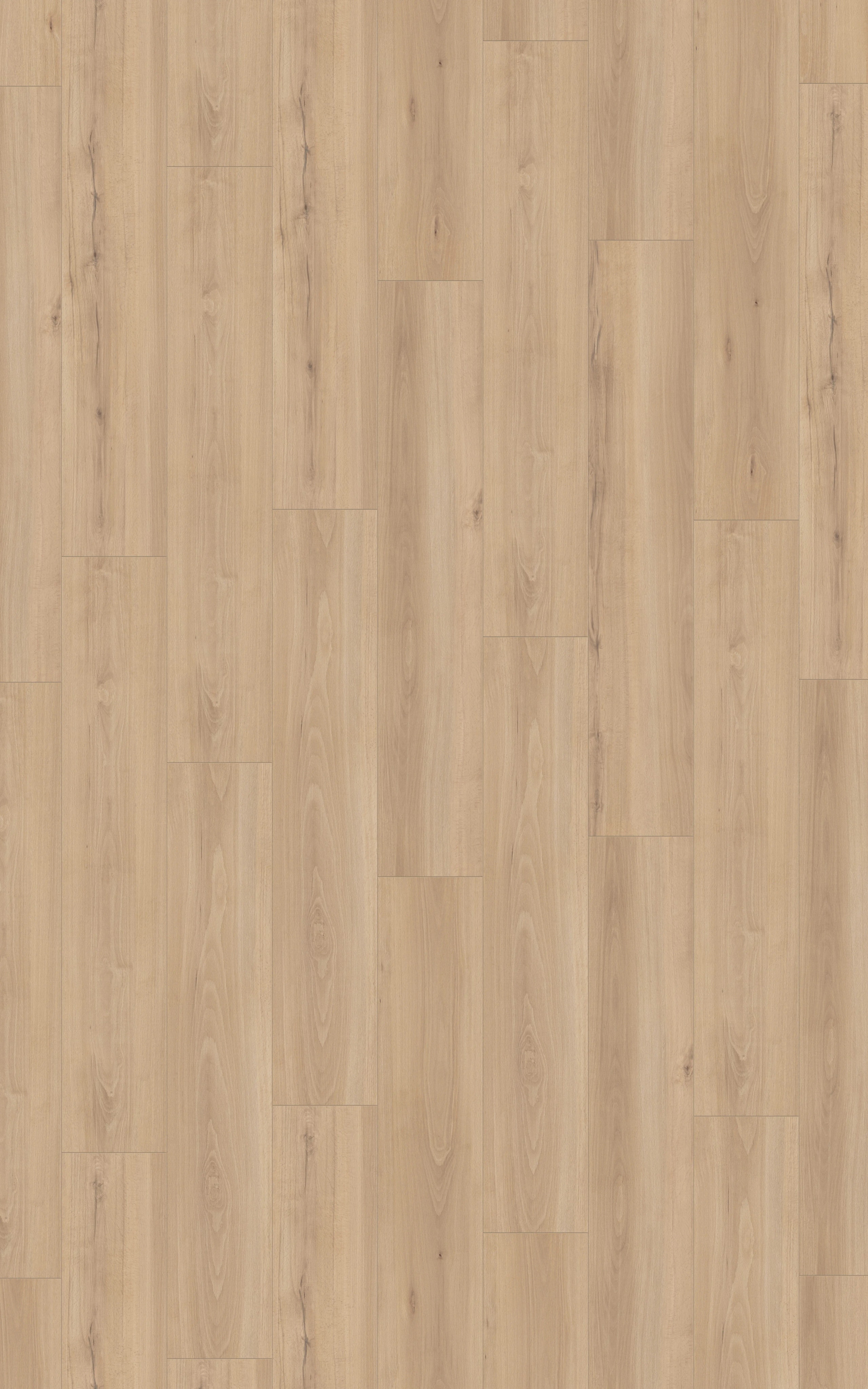 Santa Mira Beech - LA-LHD0469-KRO - 5