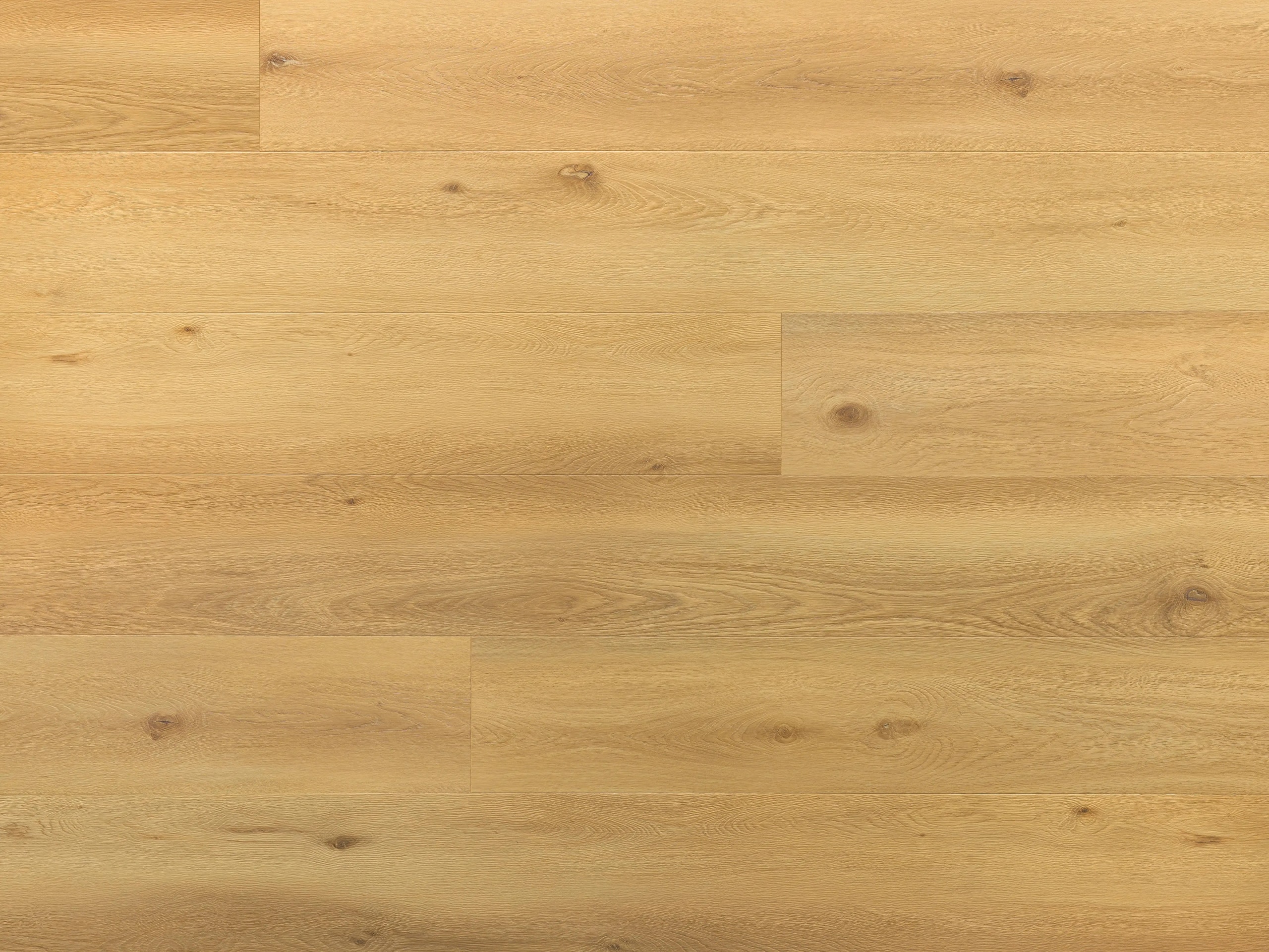 orlan-sand-DVLHDC0772-ARB-4