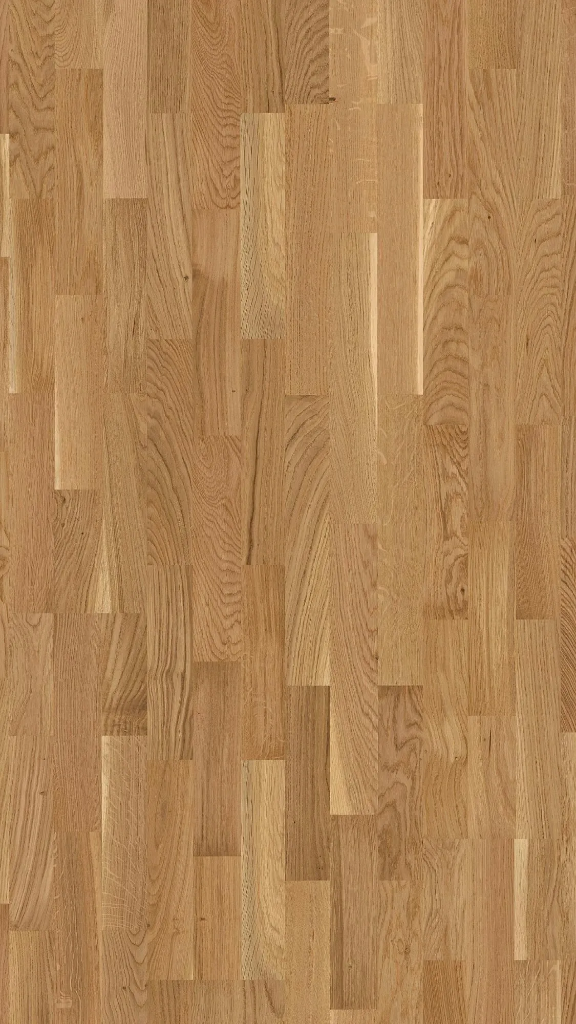 Ravin Sun - FPSH0010-BON - 3